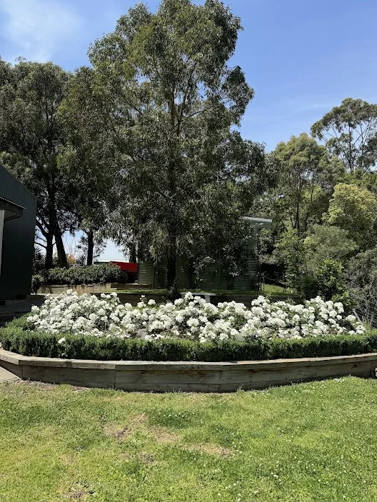 farm19.jpg