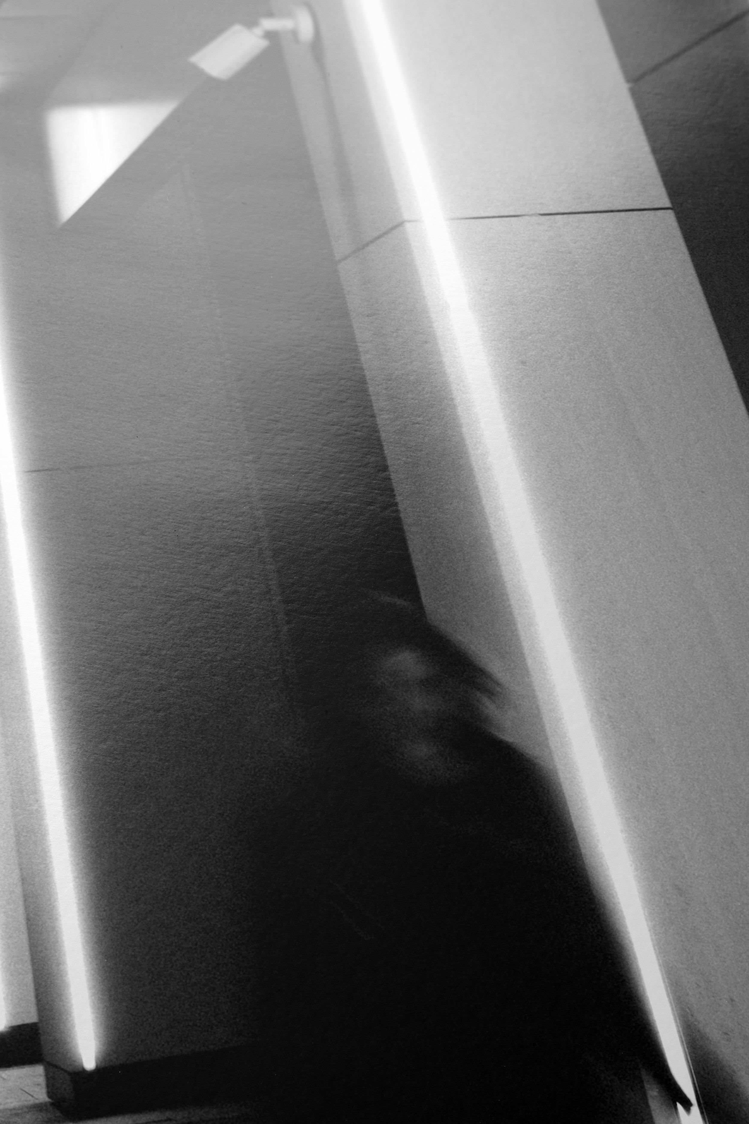 Walking_lights_paper_texture.jpg