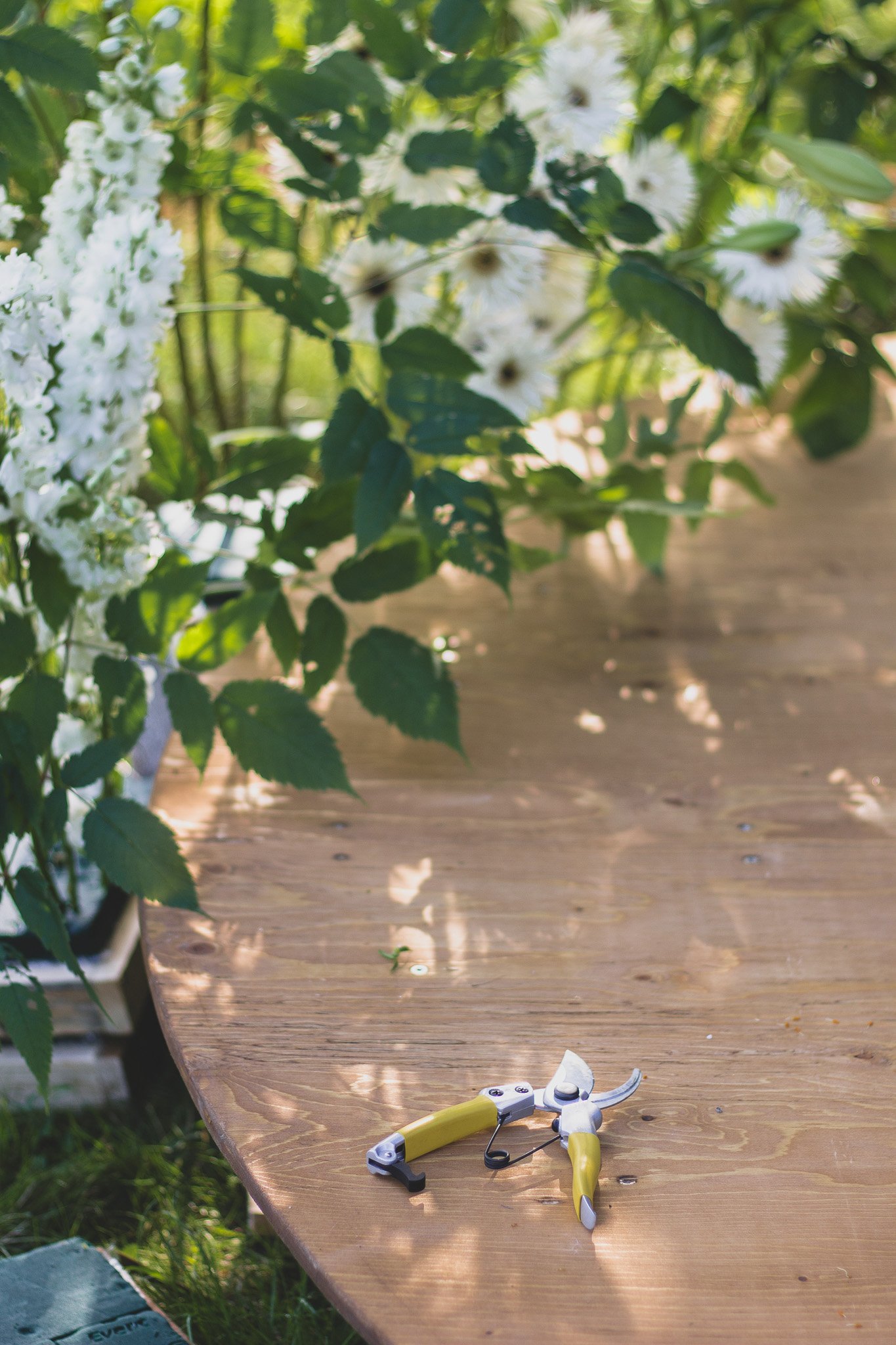 Does Instagram really punish you for not posting?