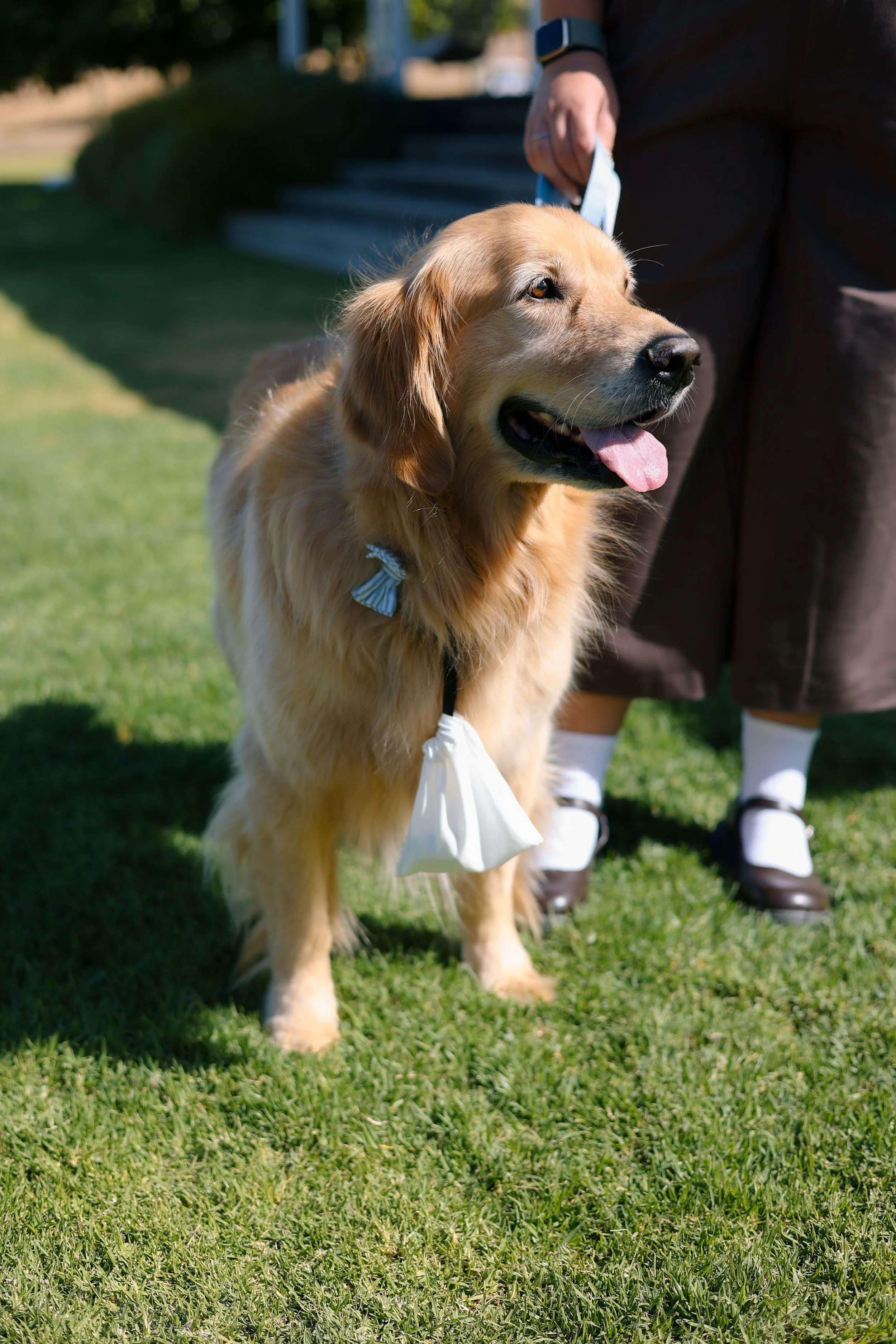 0O3A7144.jpeg