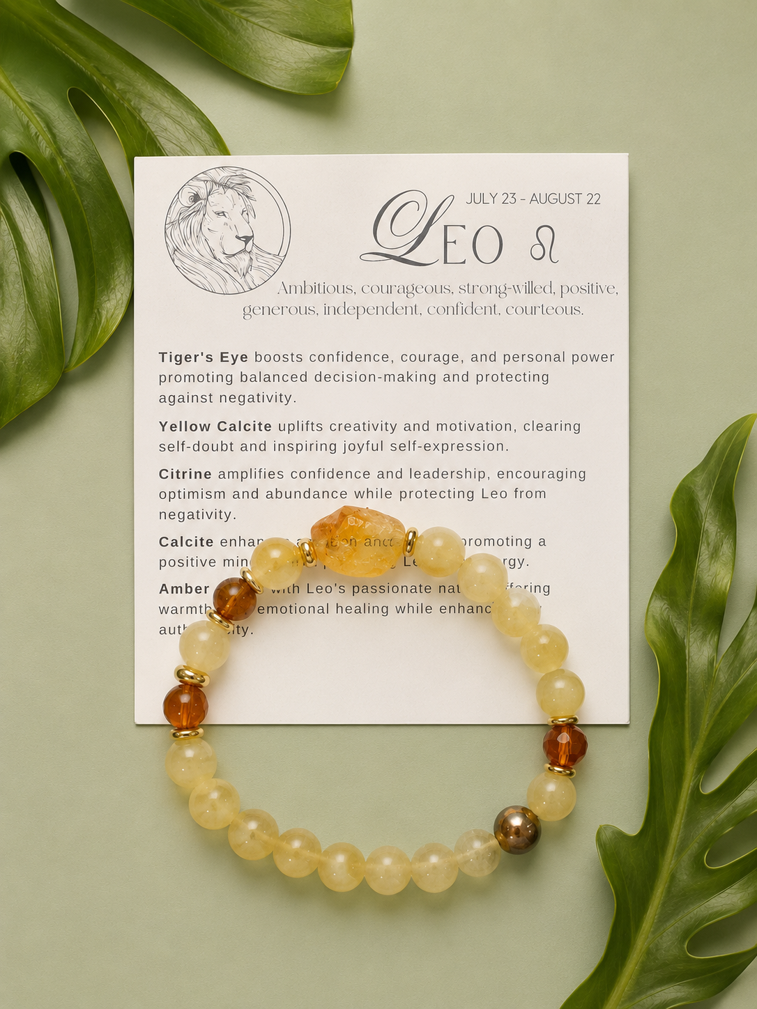 leo1.png