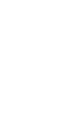 white line art graphic of crystal and florals