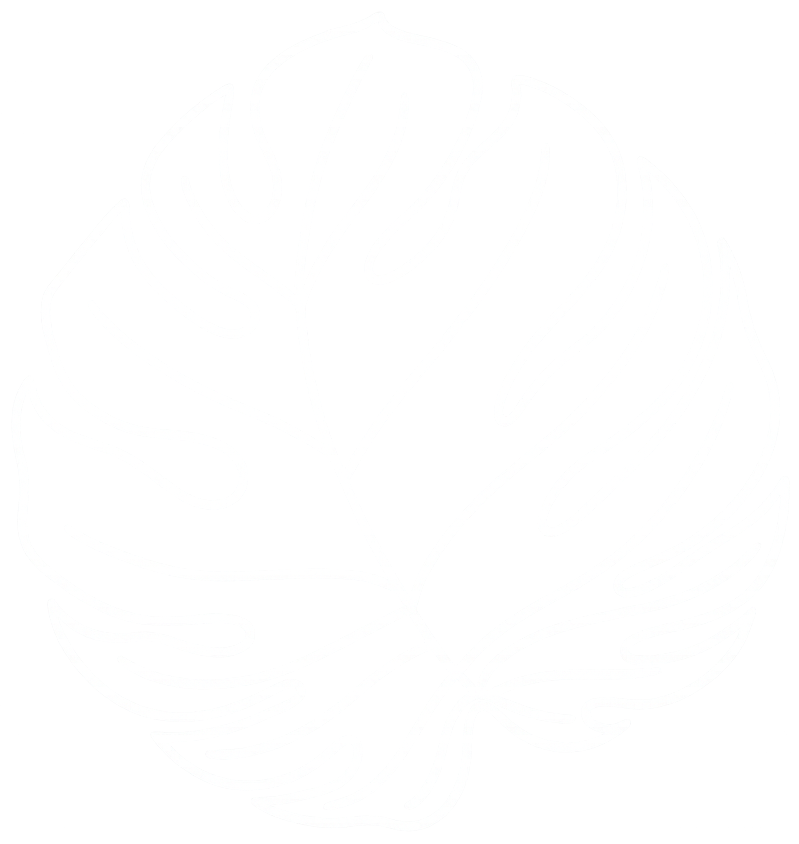 white leaf line art graphic