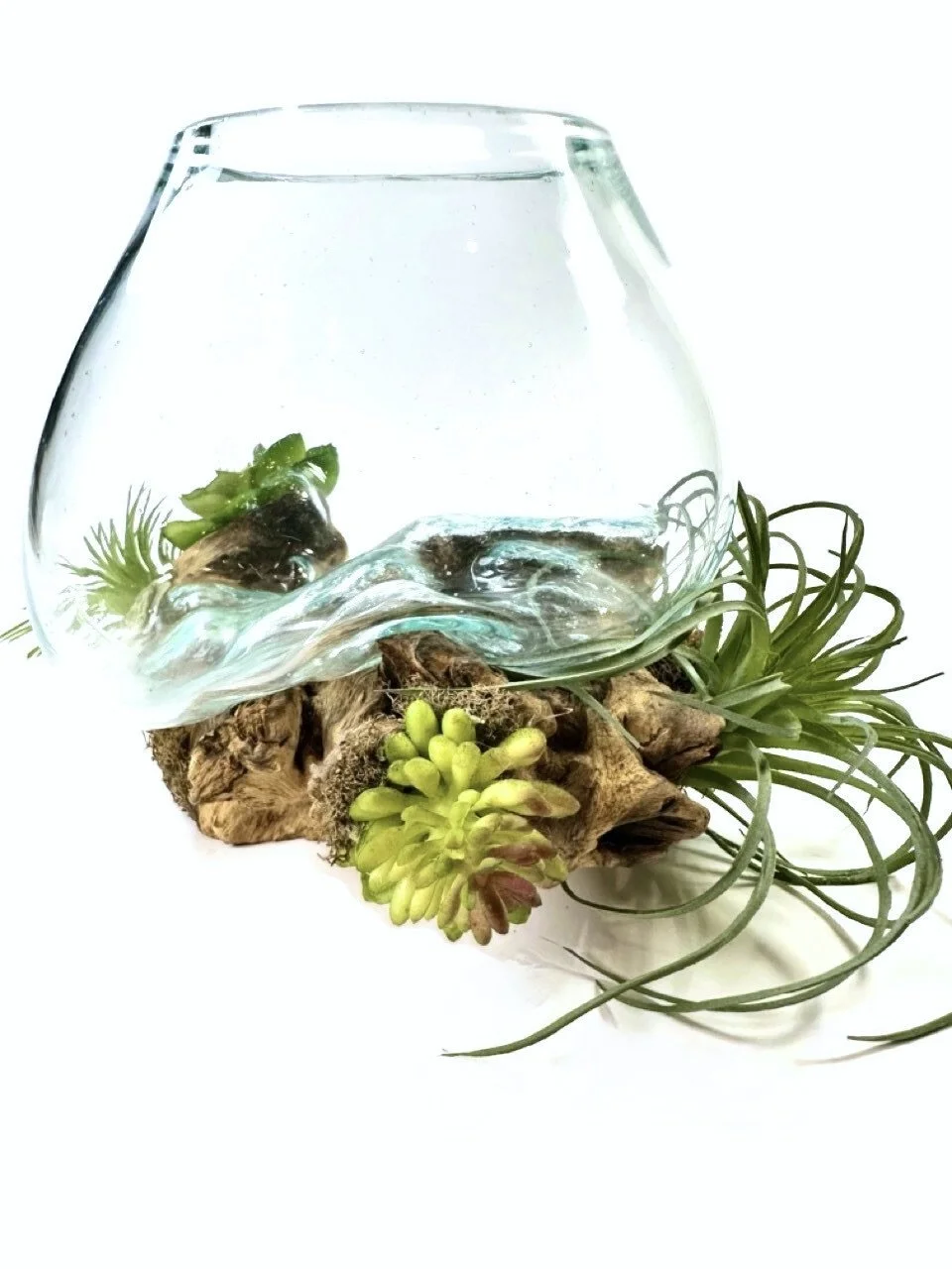 Harmony Garden | Hand-Blown Glass Planter | Succulent Decor