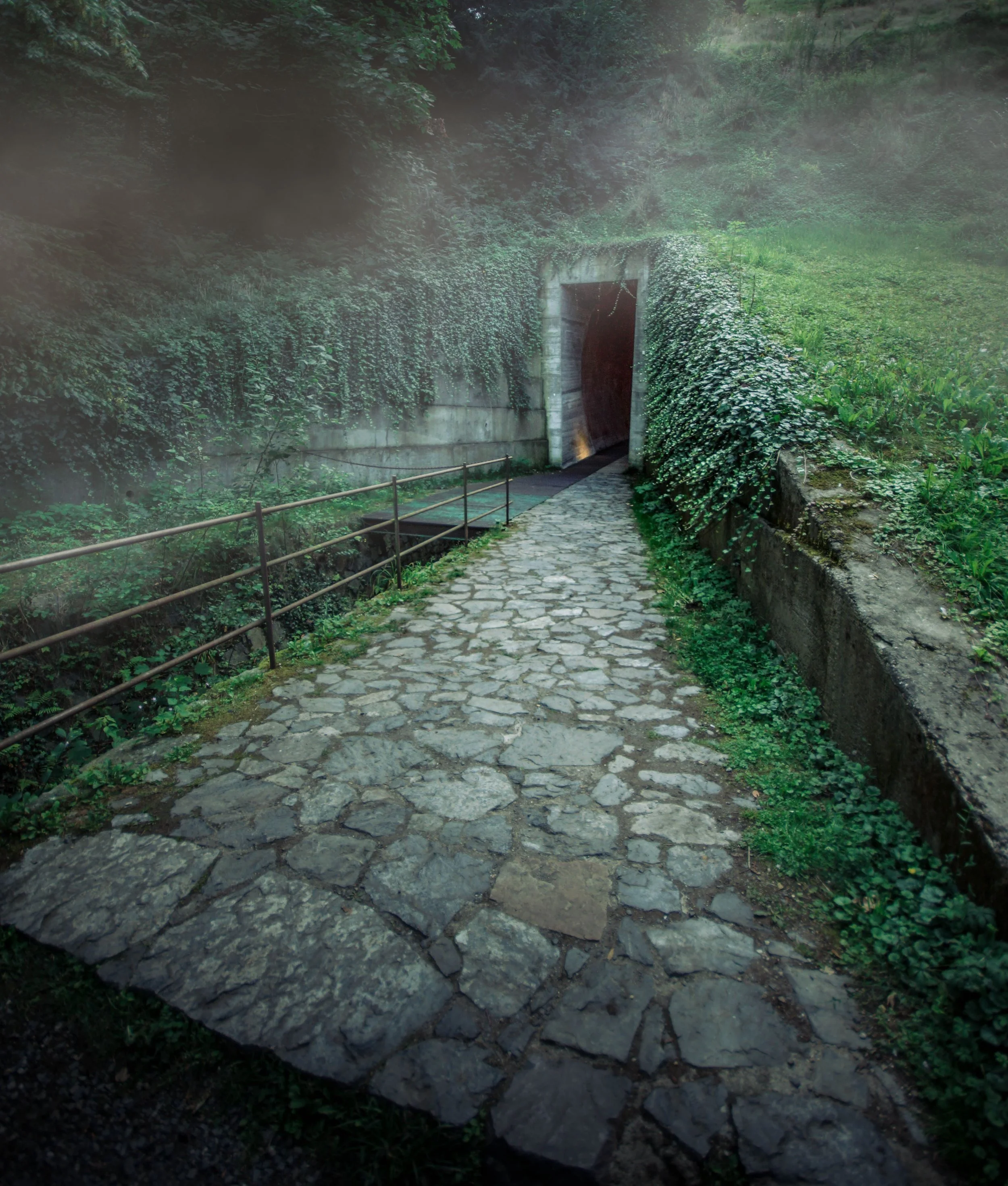 Modranska rokle 2 small for web.jpg