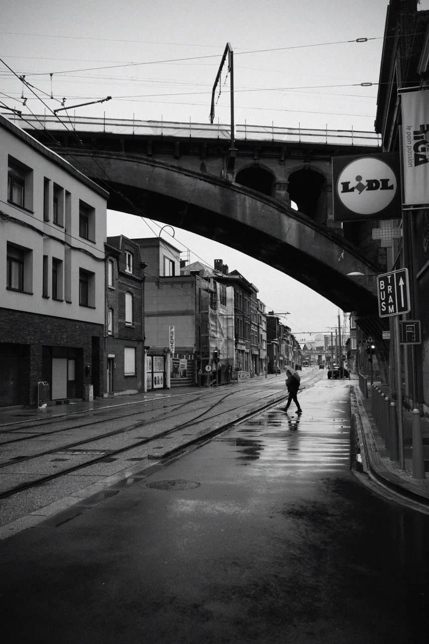 Groß (_DSC8285-Bearbeitet).jpeg