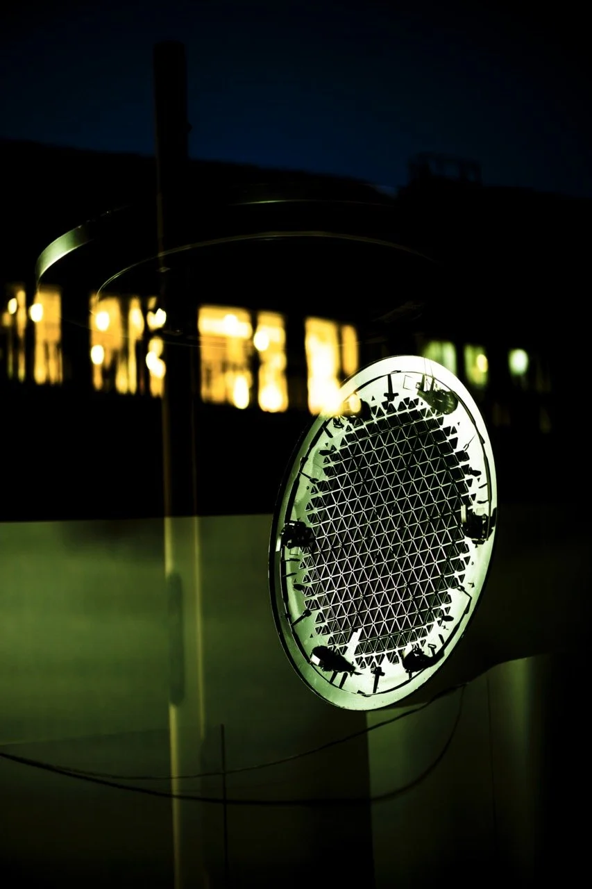 Groß (_DSC2258-Verbessert-RR-Bearbeitet).jpeg