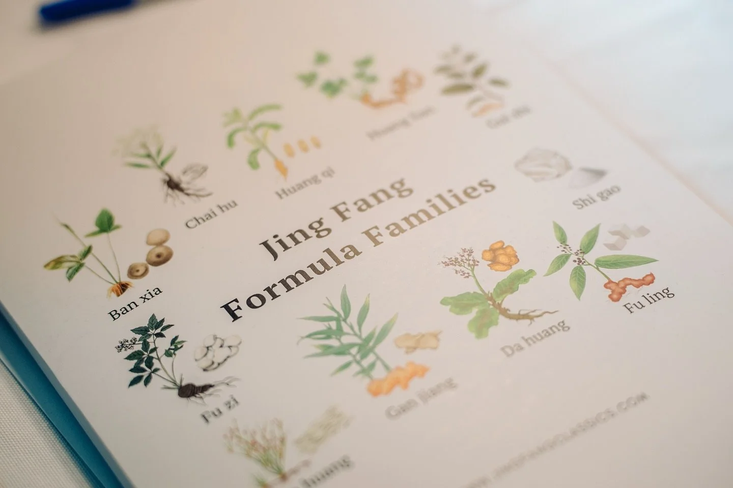 🌱☘️📸Another round of photos from the Huang Huang seminar, capturing more moments of focus, learning, and connection.

The atmosphere throughout was one of real enthusiasm for learning and a collective commitment to understanding the spirit of the c