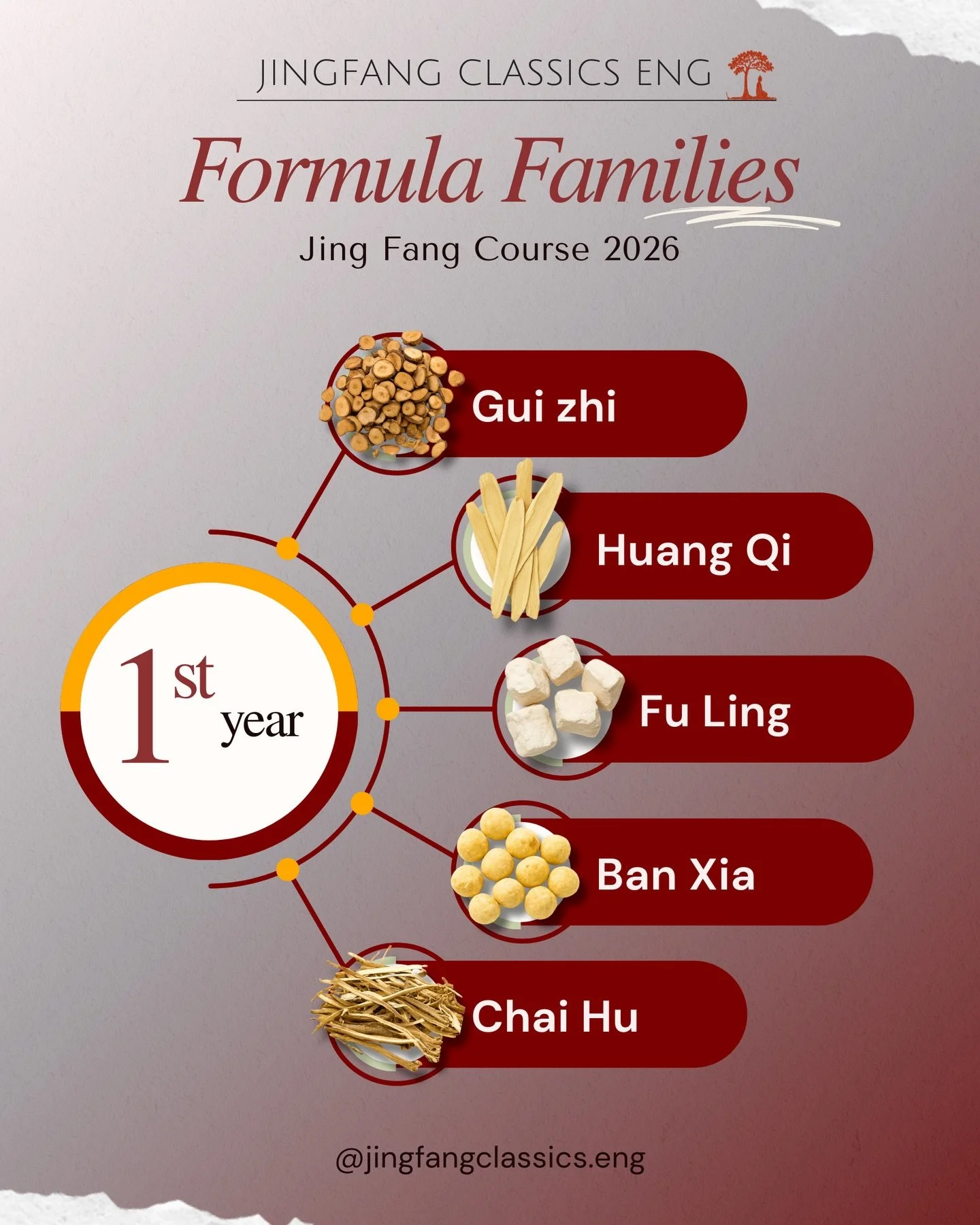 🌱In our Jing Fang course, we move through each clan of formulas one by one, the formulas of a clan all share specific characteristics, as well as each carrying its own unique expressions, symptoms of their formula syndrome. 

Like members of a famil