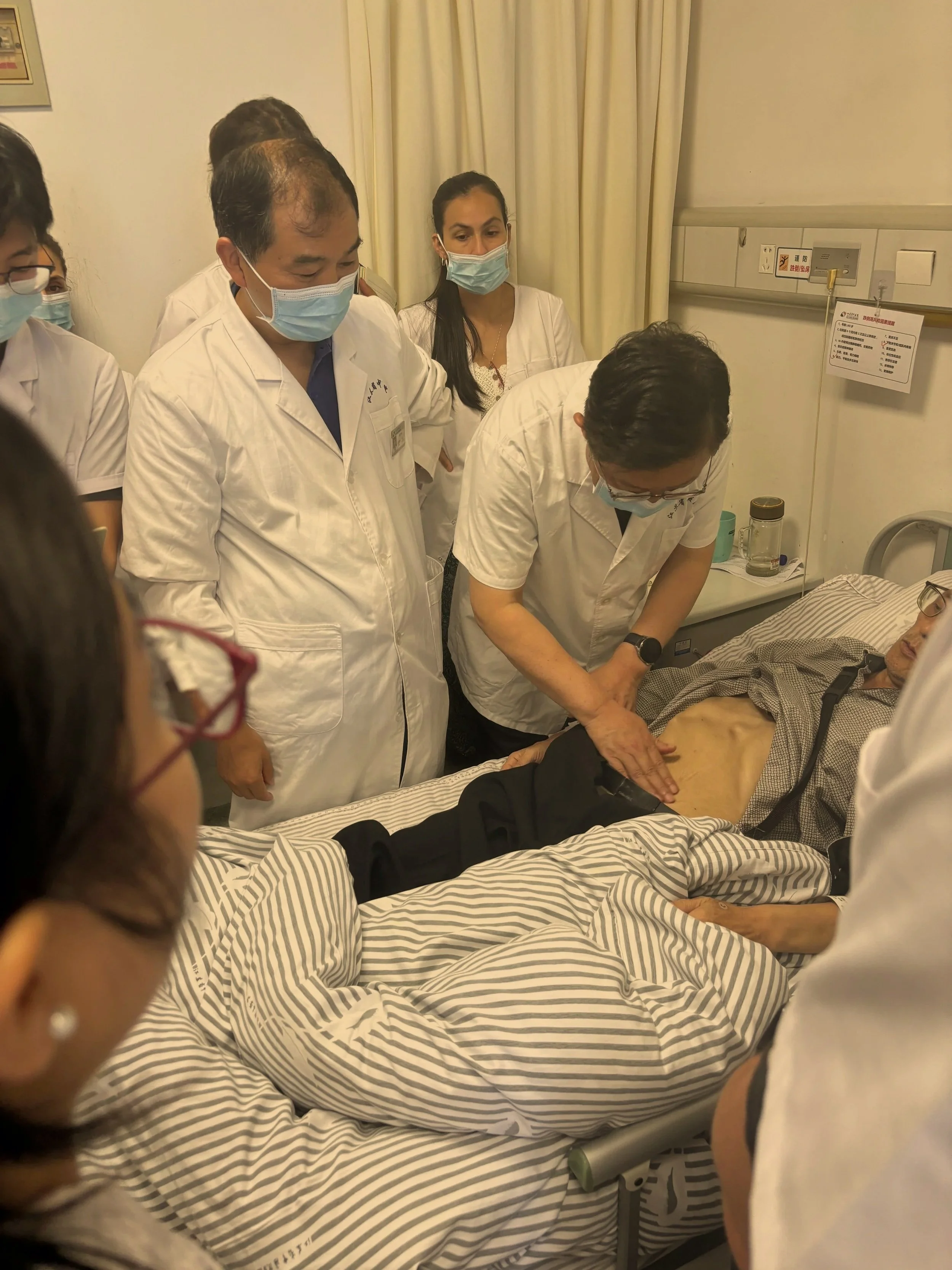 Internship China Jing Fang Chinese herbal medicine online