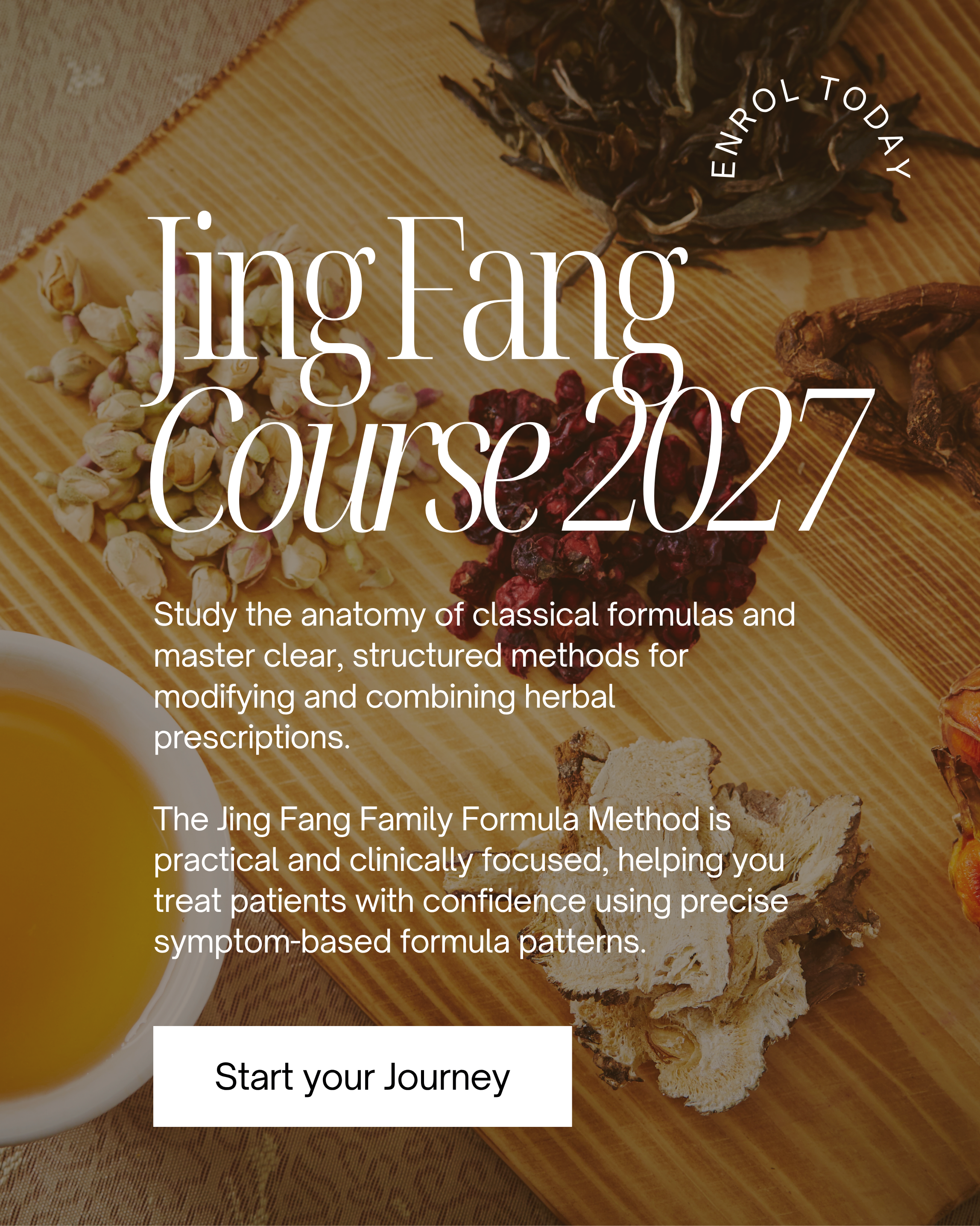 Jing Fang Training