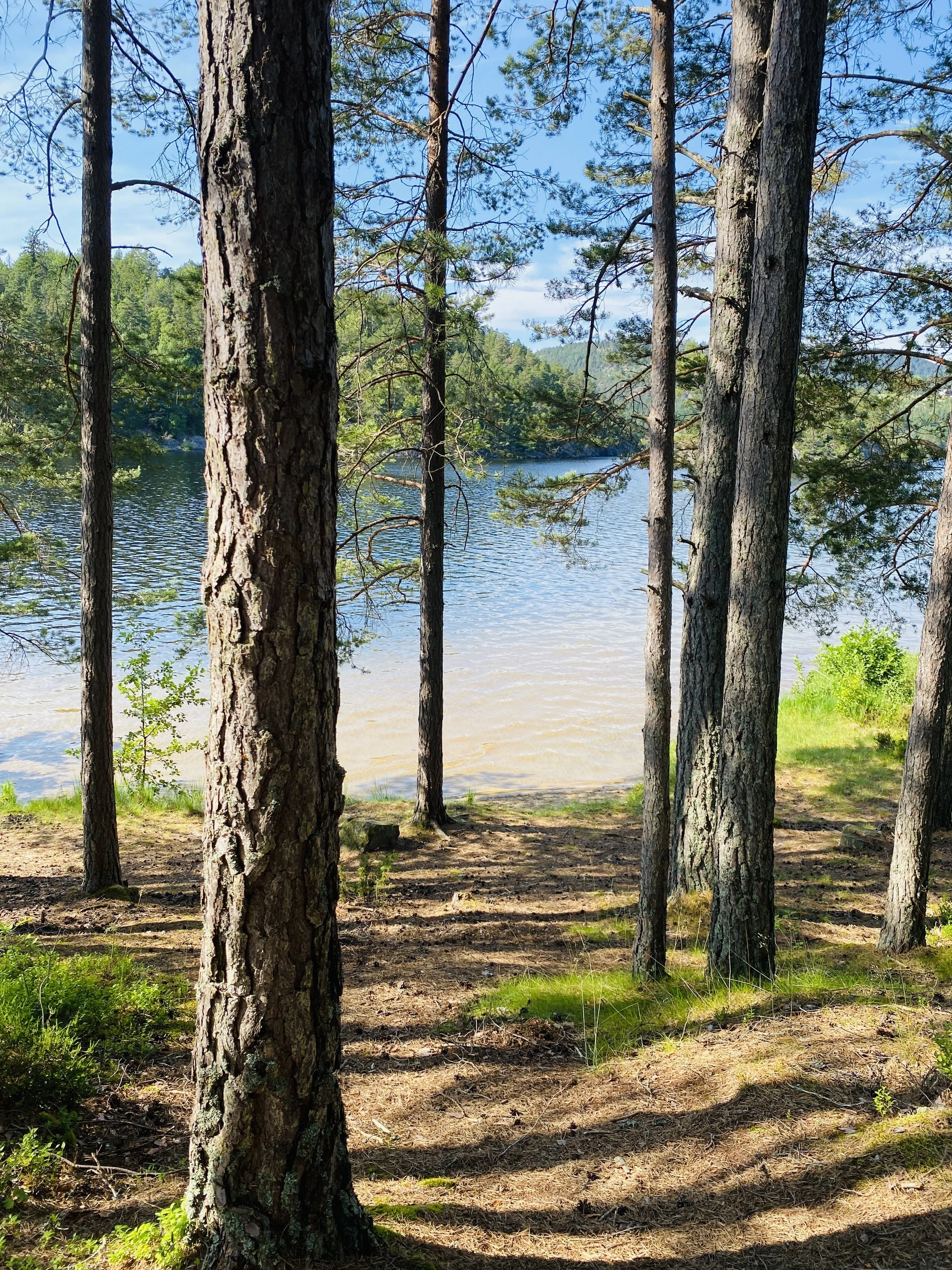 Hvordan møter du ubehag?