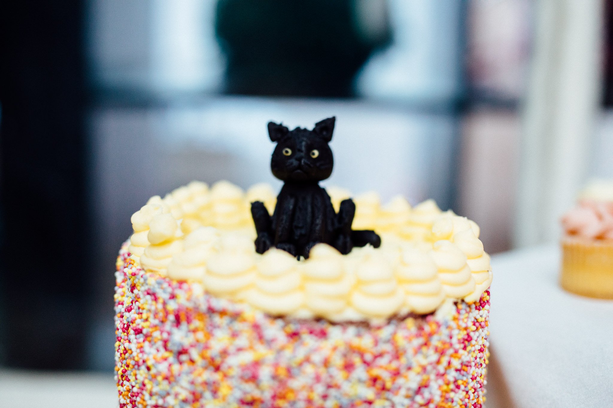  Wedding cake with a cat on top 