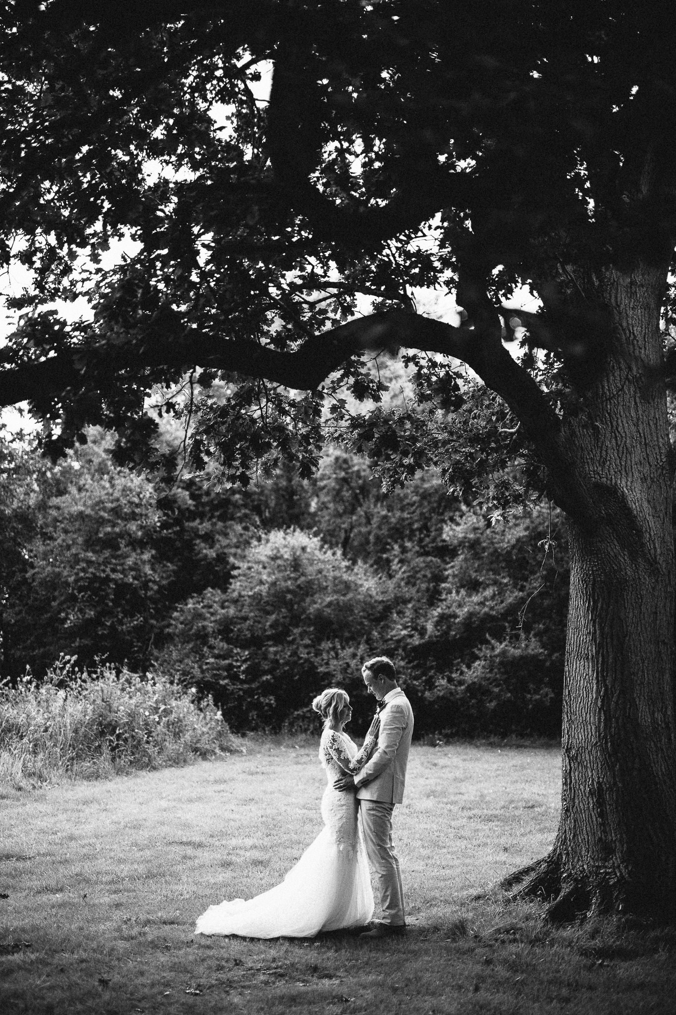  Bride and Groom under a large tree in a field 