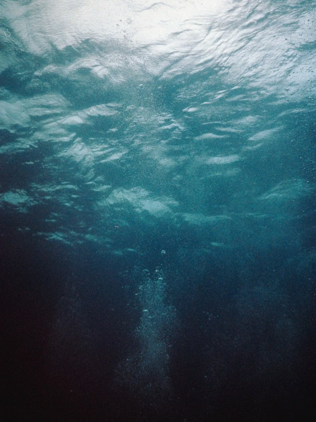 Counting down the days until I&rsquo;m back there. 

@labombonadiving I&rsquo;m coming back 🐟 

#nikonosV
#kodakgold200