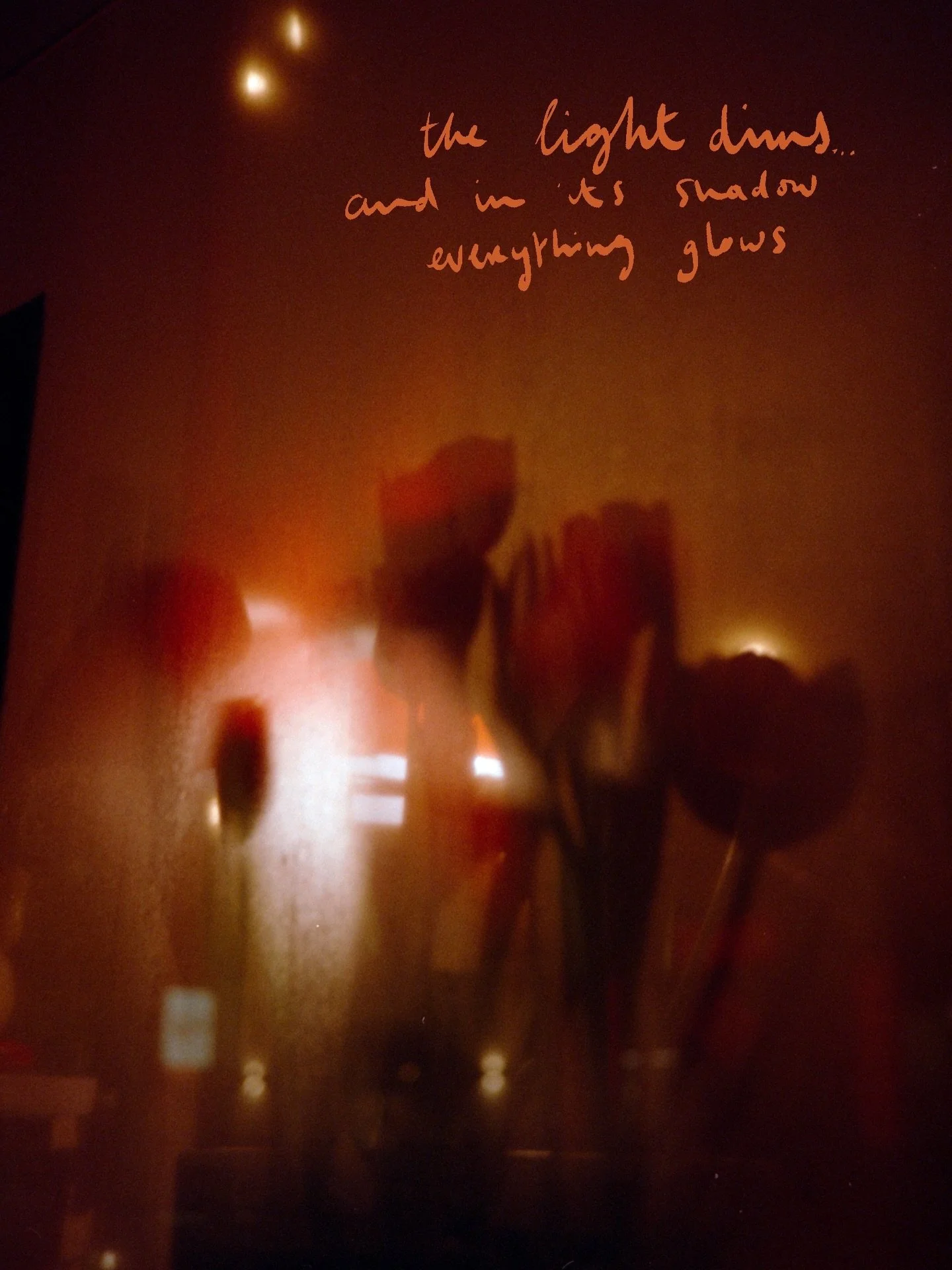 A rainy afternoon in Z&uuml;rich with my favourite people (and my favourite camera).

📷 #contaxt2