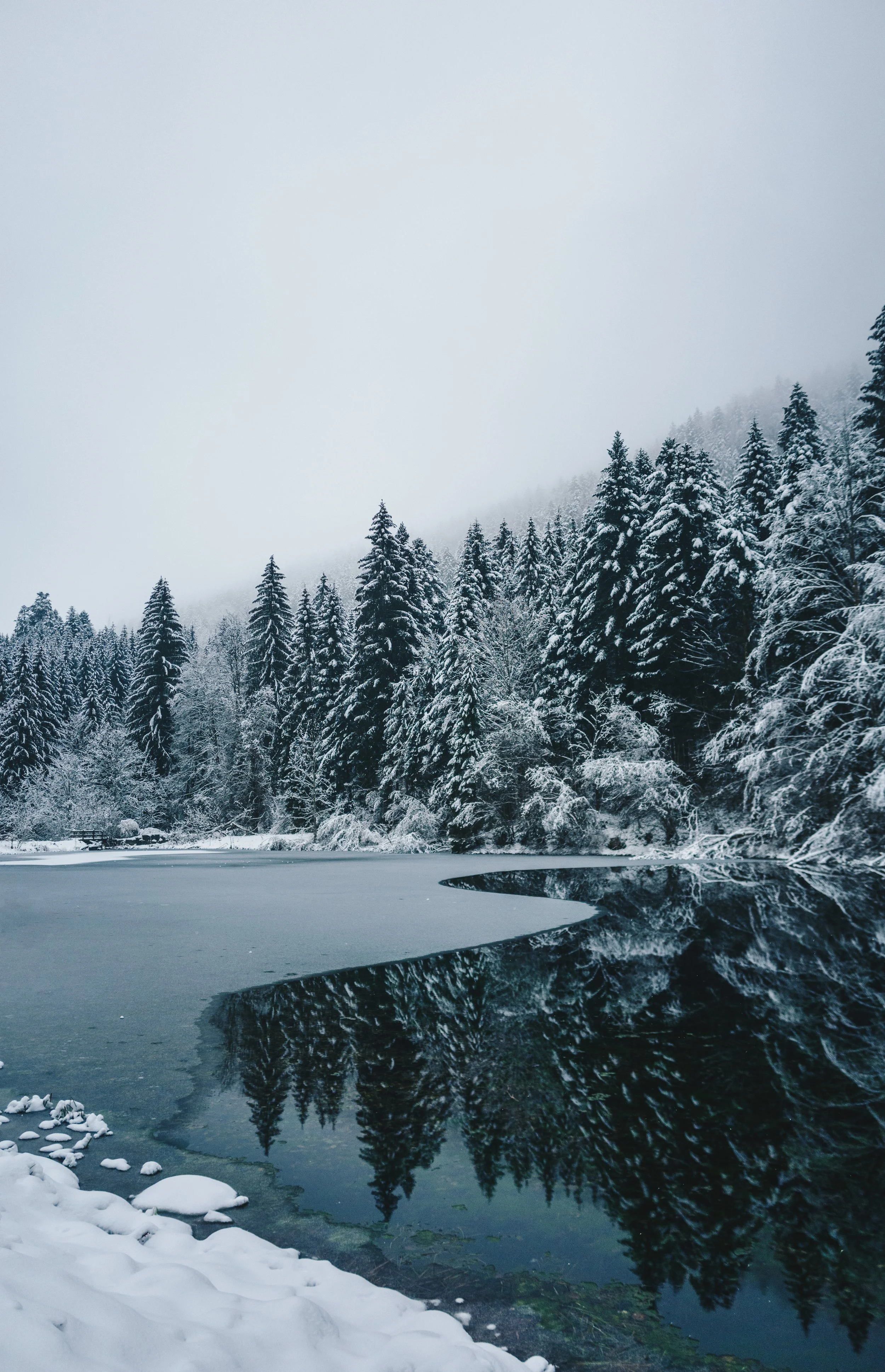 13. DECEMBER L1660936-Edit 2.JPG