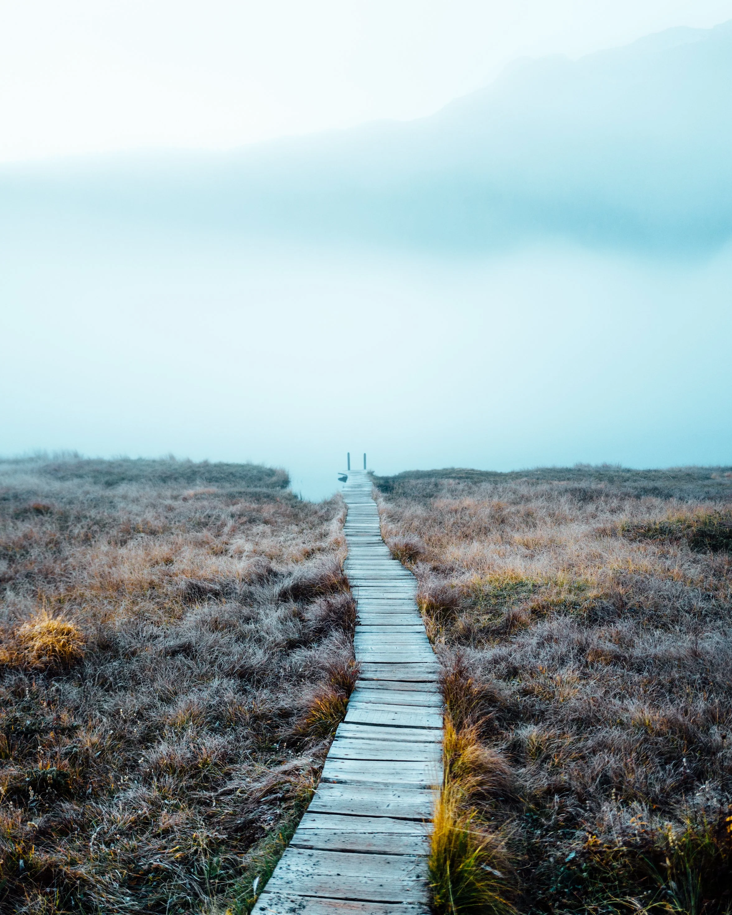 2. JANUARY l1170249.JPG