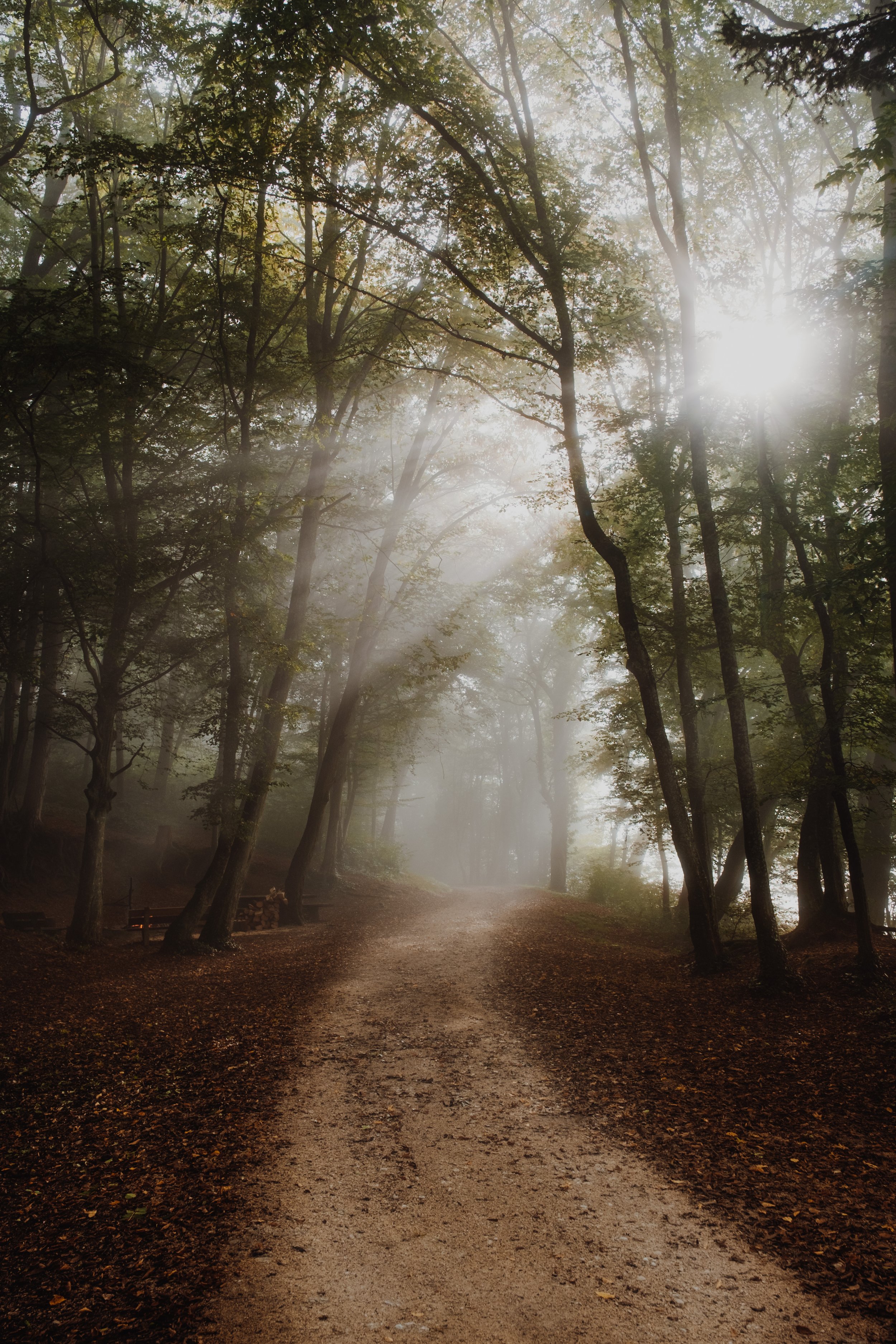 11. OCTOBER DSCF6765.JPG