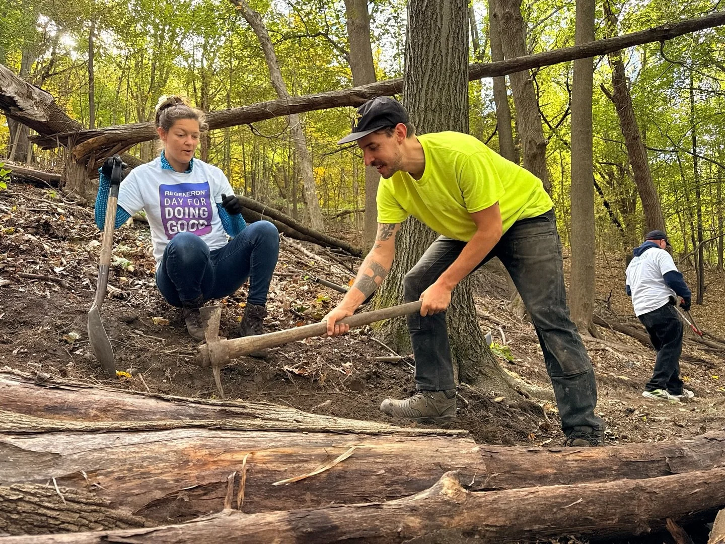 Thanks to the enthusiasm and support of the Friends of Prospect Park and dozens upon dozens of volunteers from @regeneron, over the last week we have been hard at work expanding the trail network in Troy’s Prospect Park.
In a ma