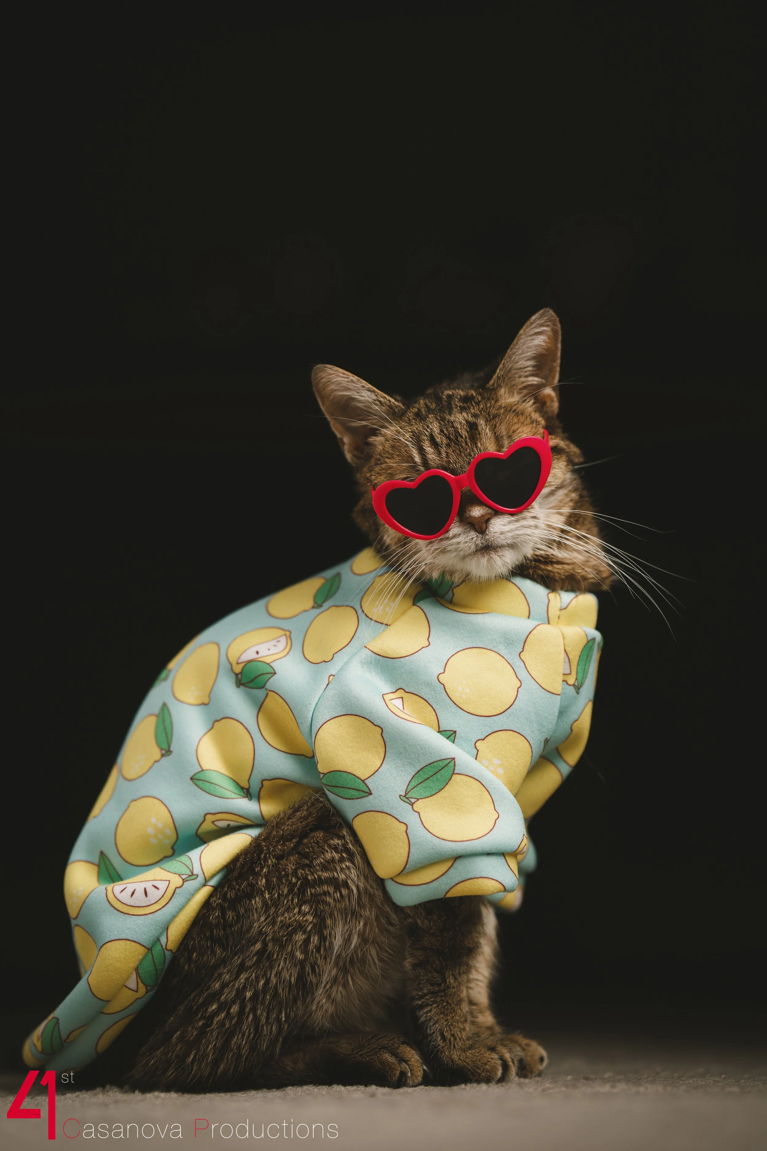 Pets-4.jpg