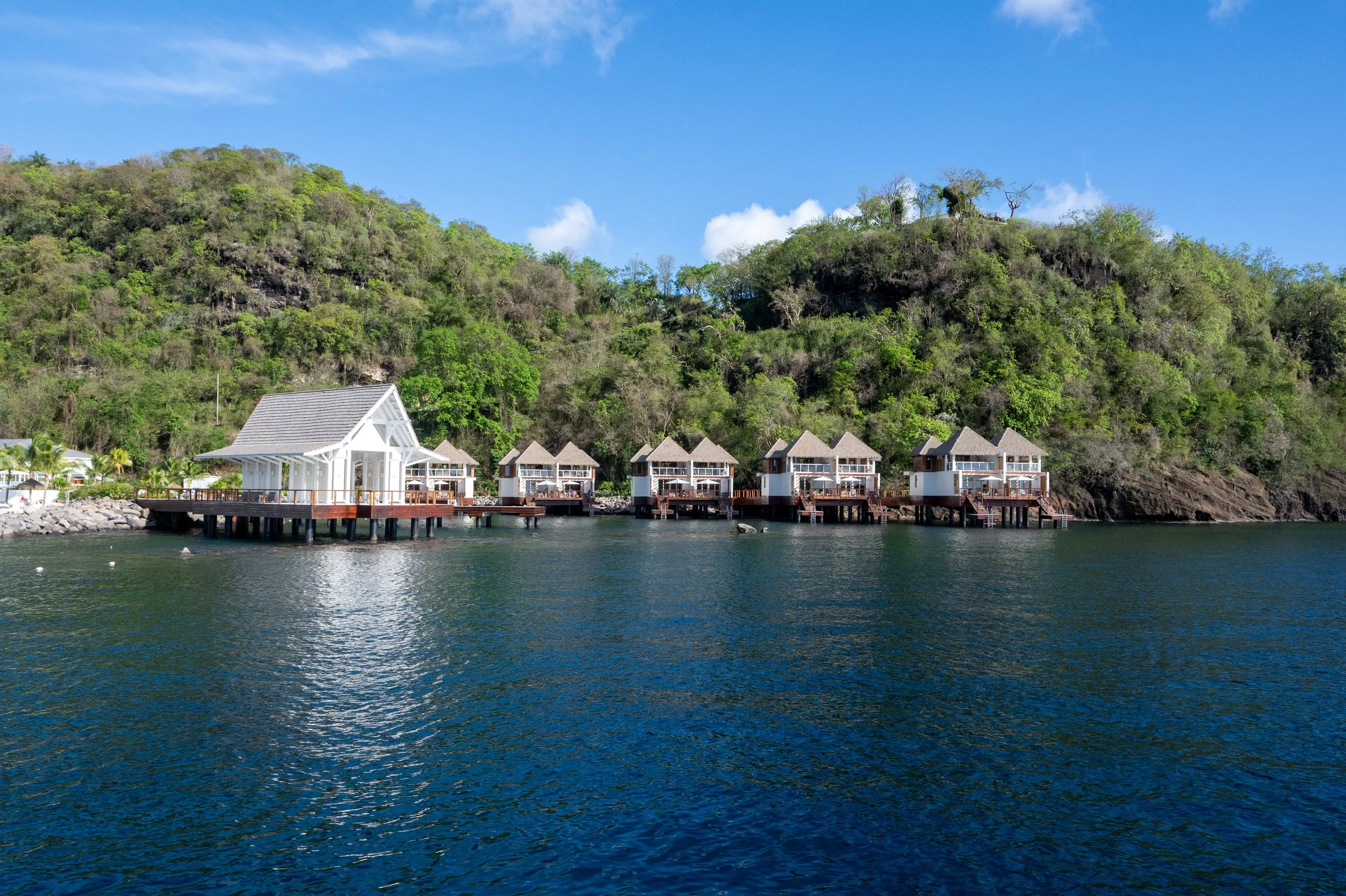 NZ8_0722.jpg