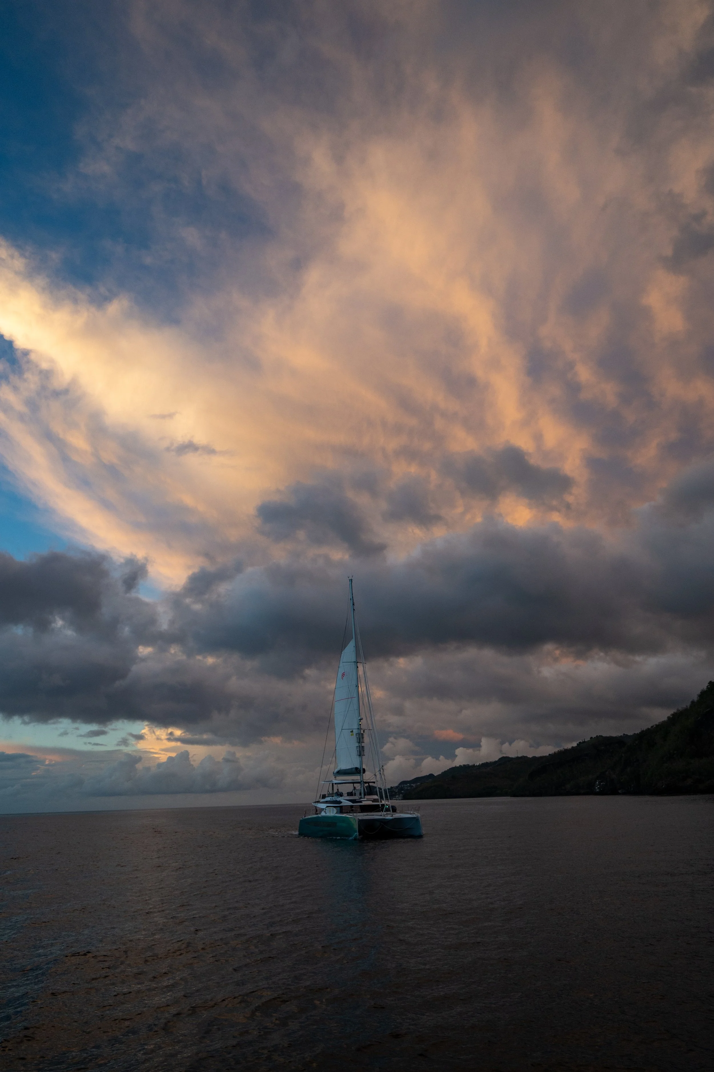 NZ8_0994.jpg