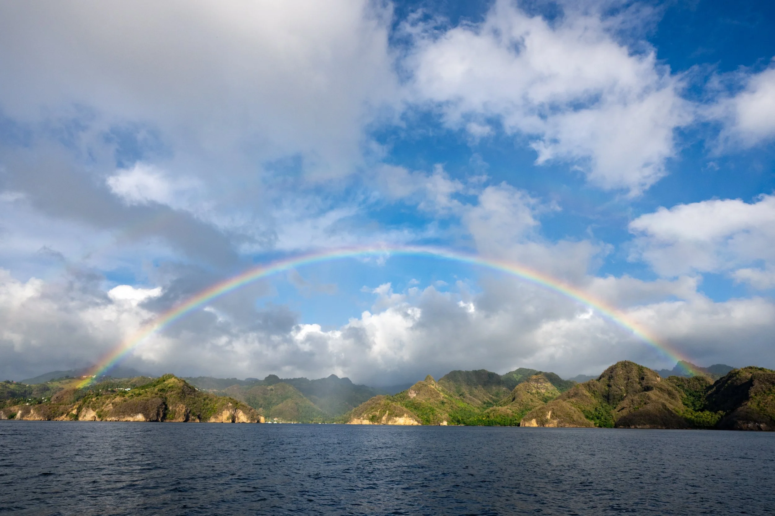 NZ8_0861.jpg