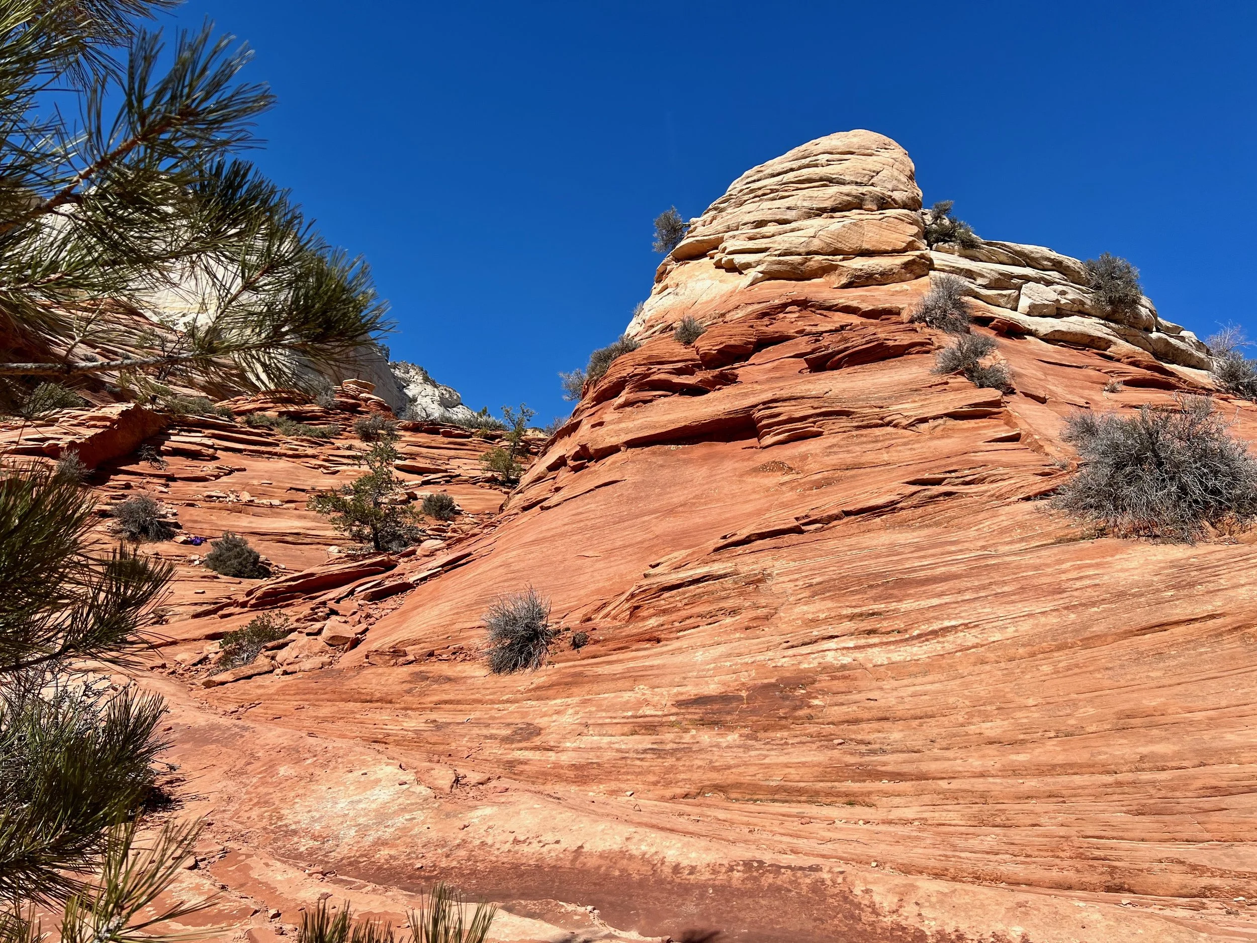 Red rock formation with layered sandstone and sparse desert vegetation under a clear blue sky.