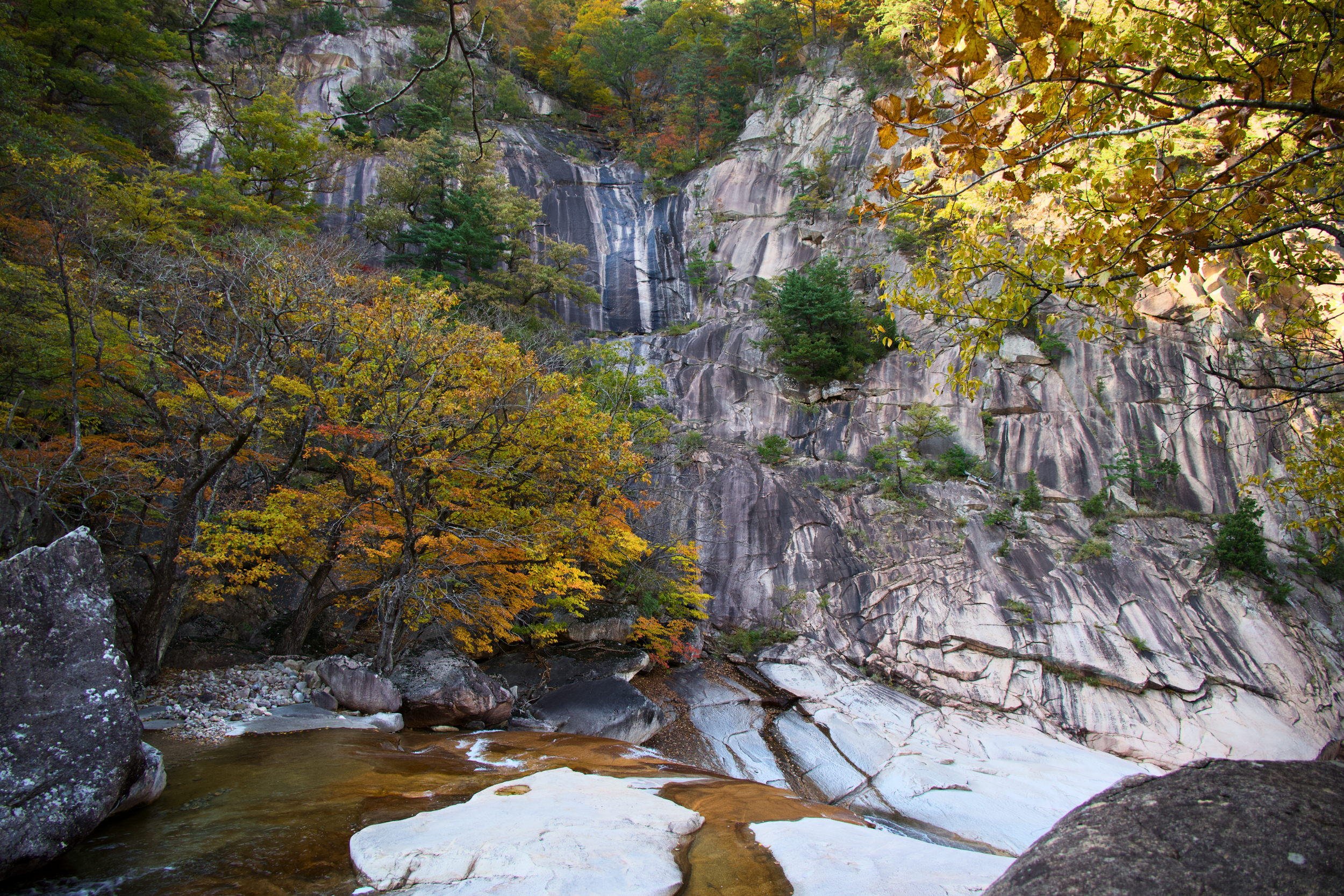 A scenic view of a mountain landscape with a small waterfall, autumn-colored trees, and a rocky stream at the foreground.