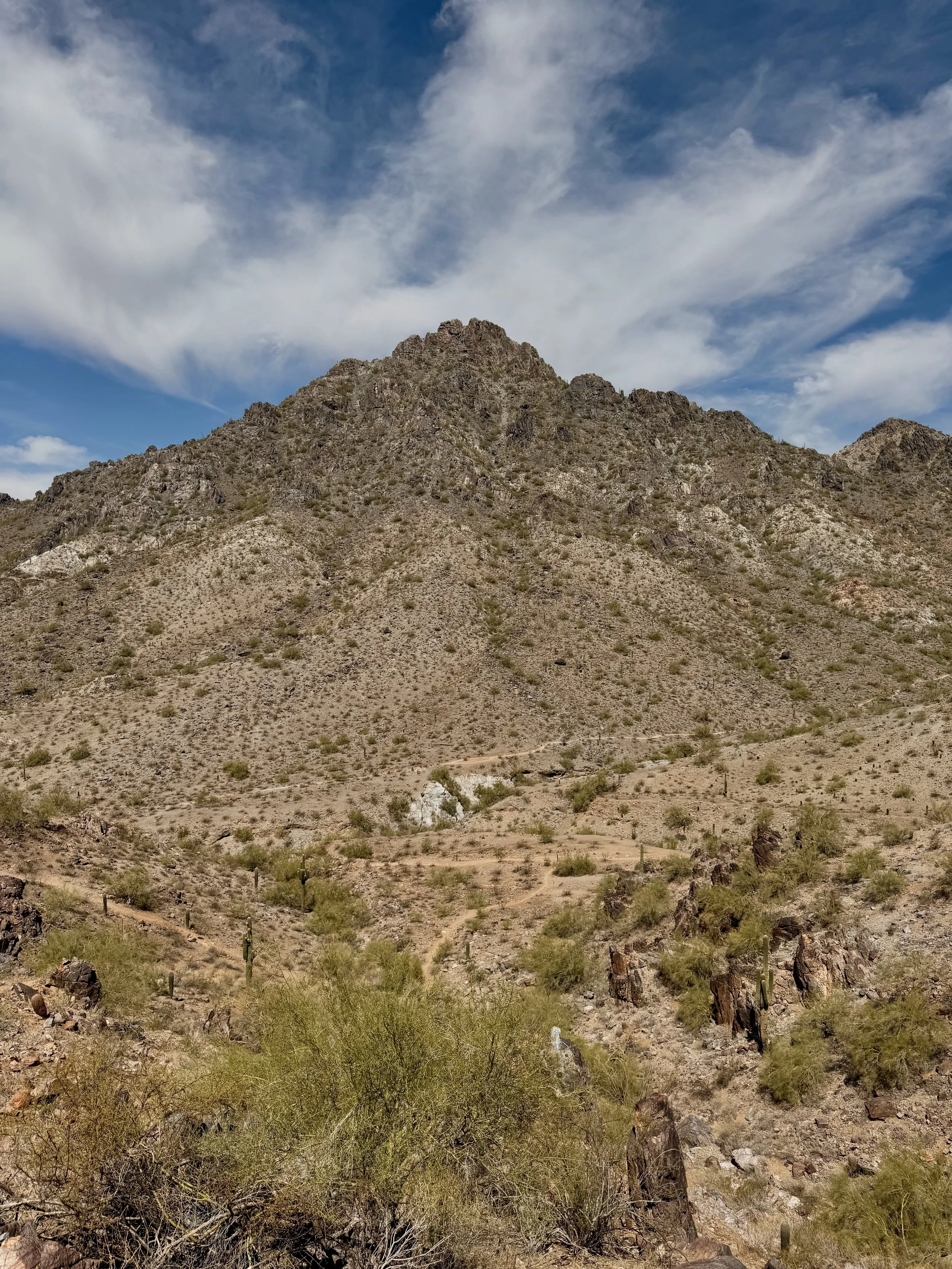 Scottsdale, Arizona hike in spring