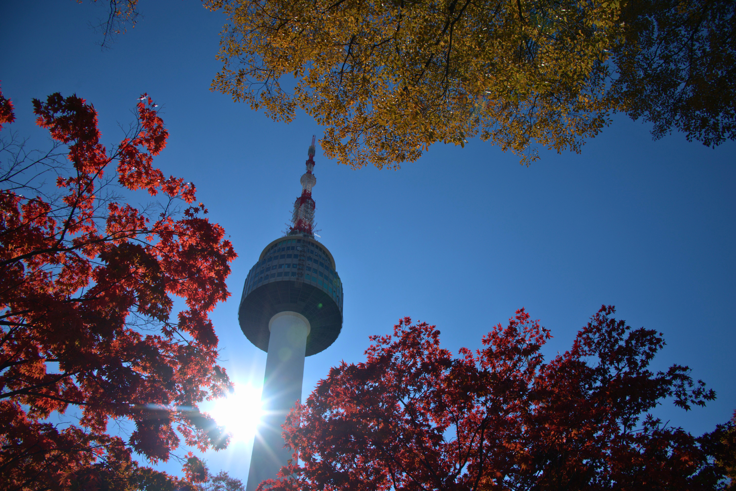 Seoul Tower in Seoul, South Korea at fall foliage time