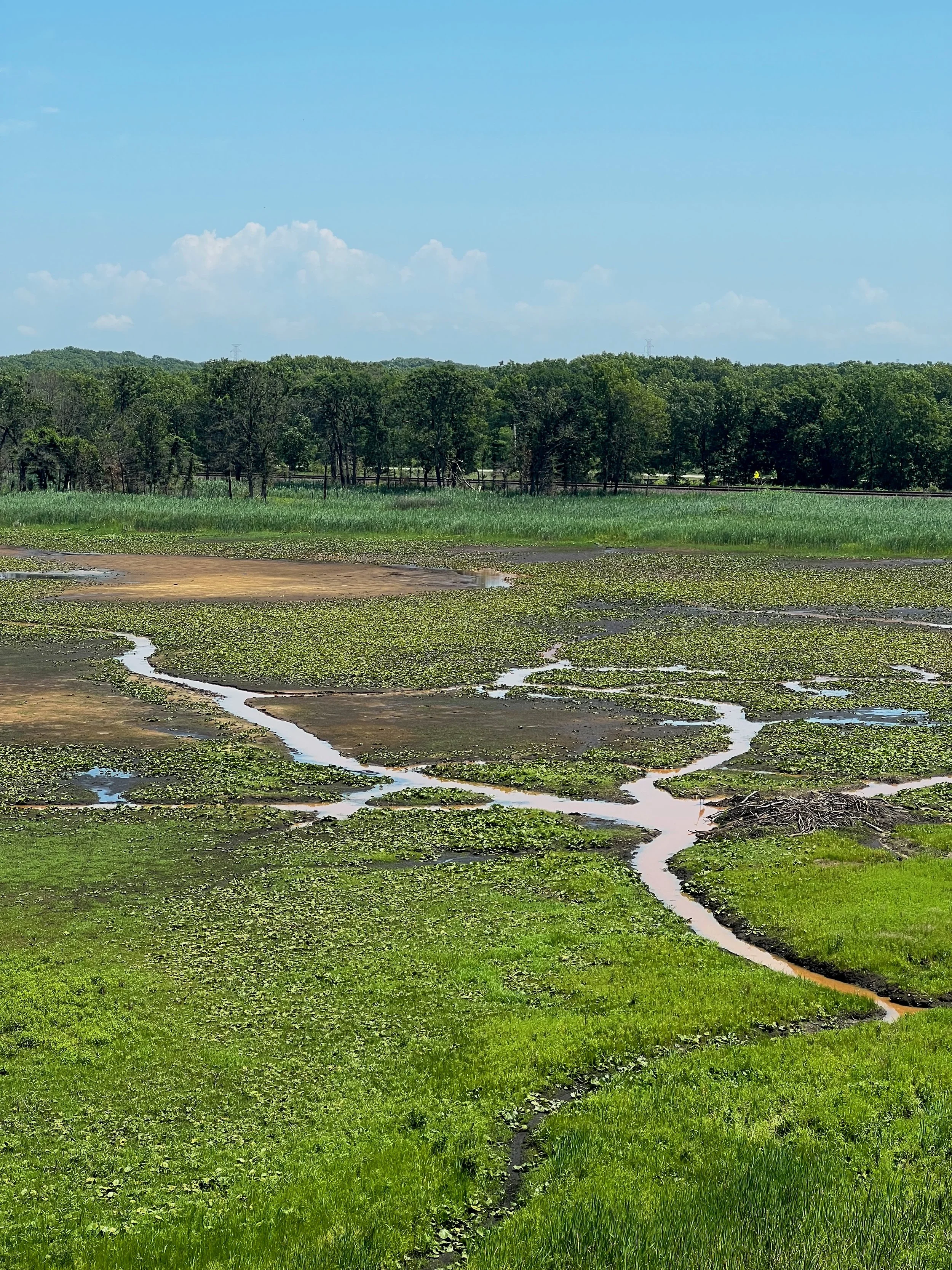 Indiana Dunes National Park Wetlands