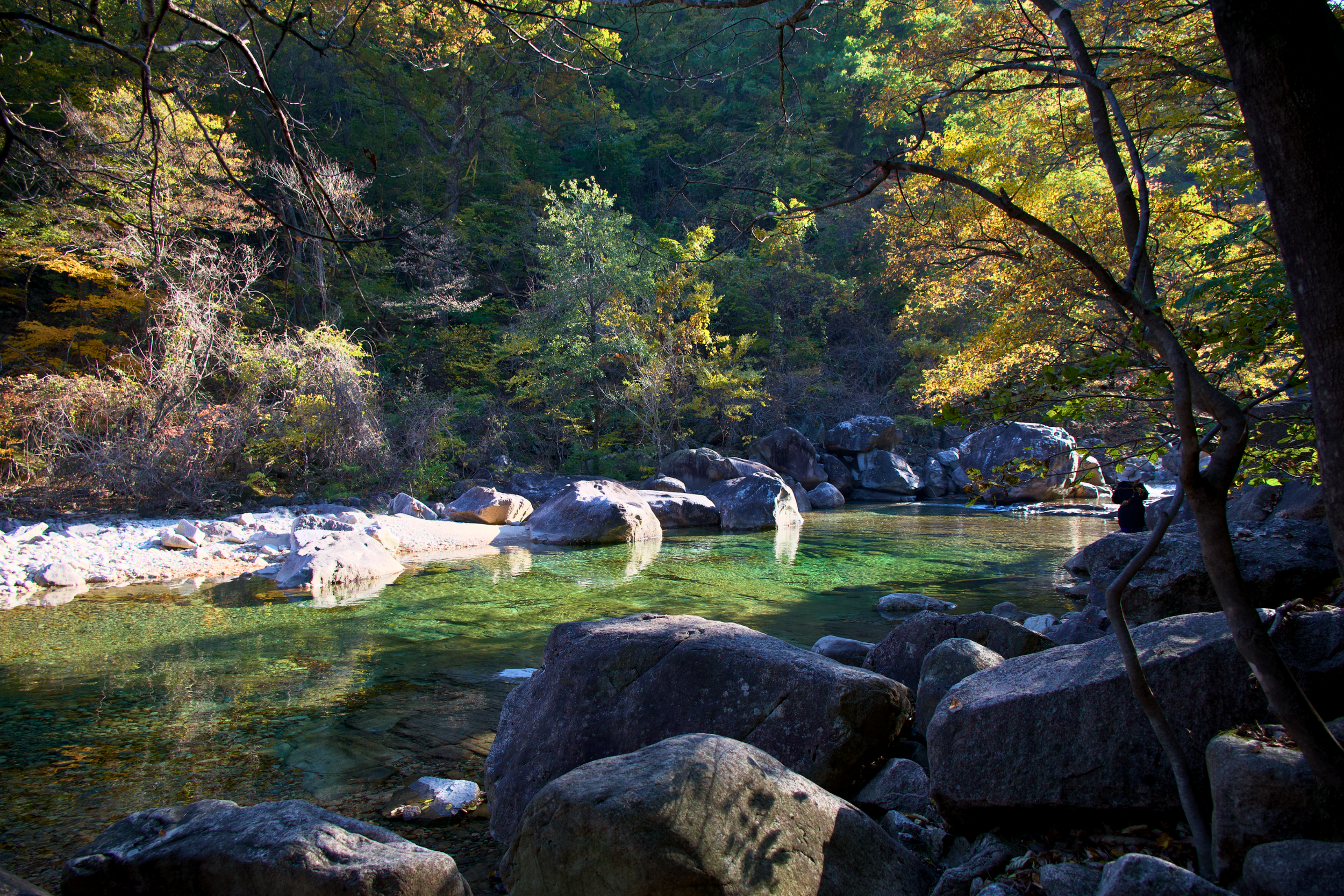 A peaceful river scene surrounded by trees with green and yellow leaves, large rocks along the riverbank, and sunlight filtering through the foliage.