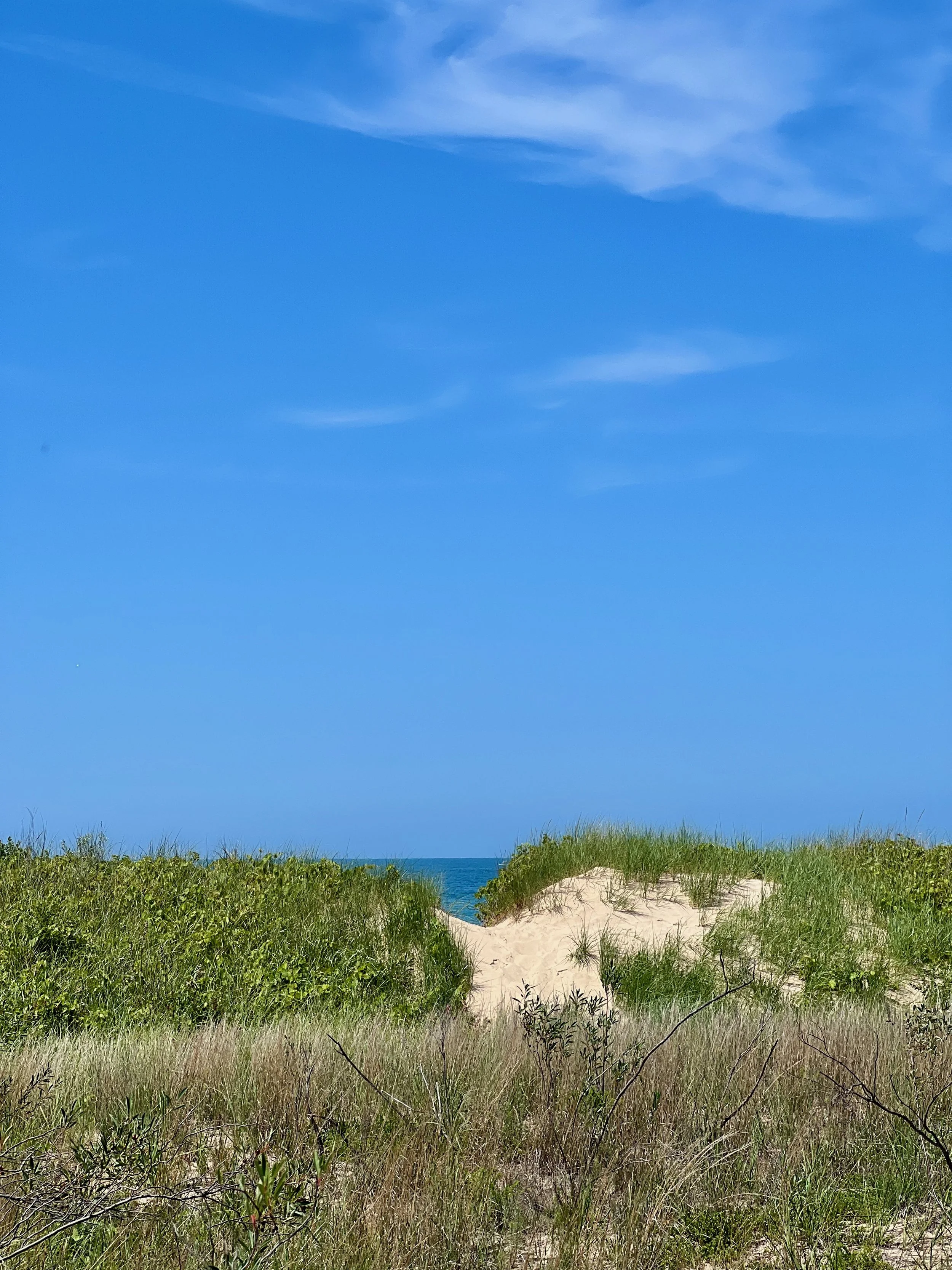 View of a sandy beach between green dunes with grass, leading to the ocean under a bright blue sky with wispy white clouds.