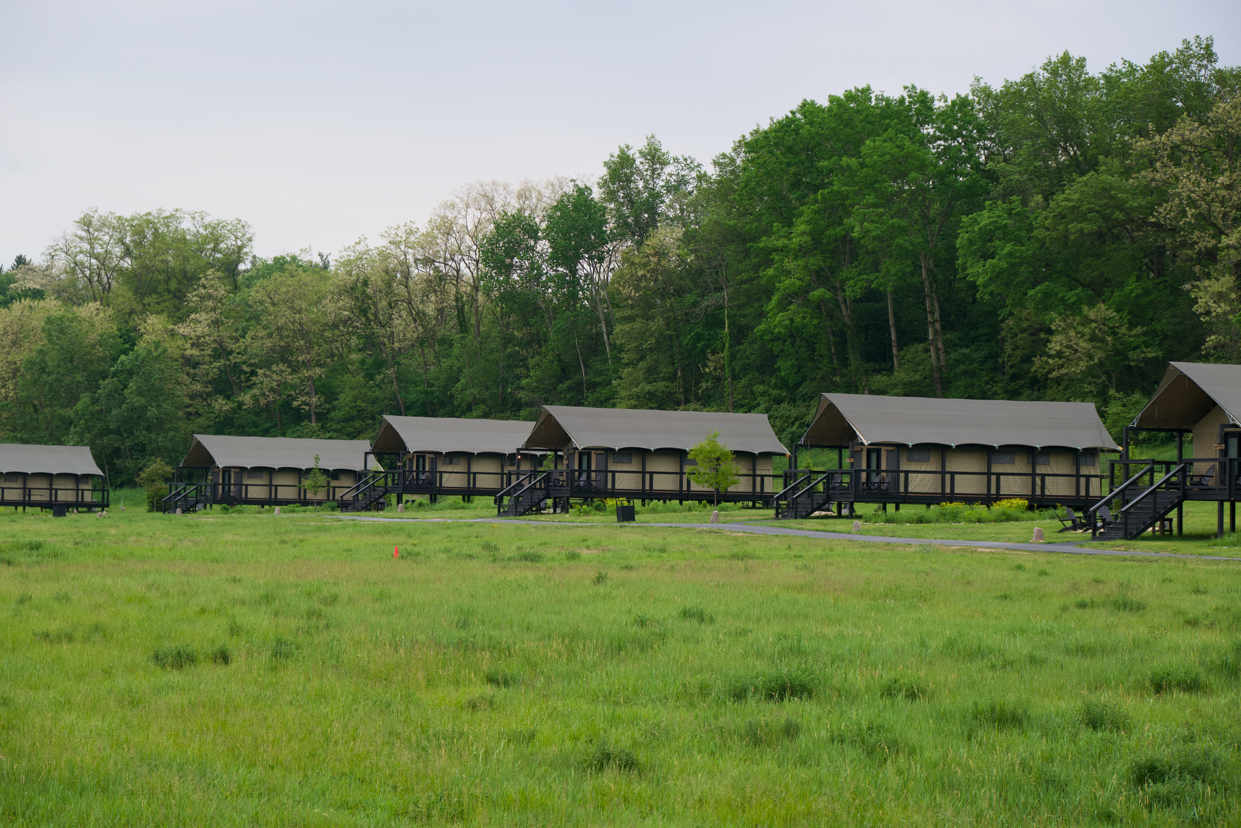 Camp Aramoni (9).png