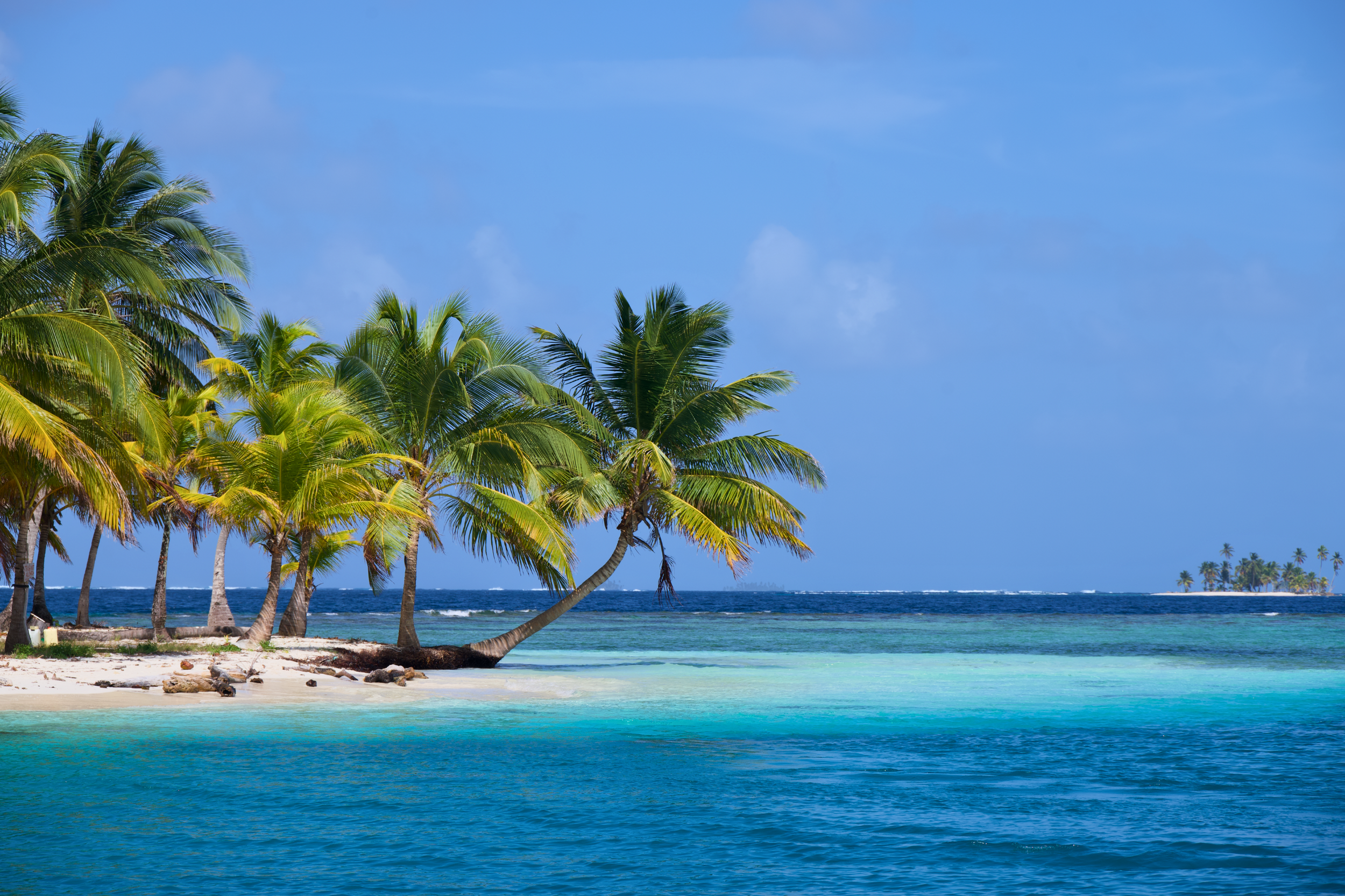 Tropical beach with palm trees, white sand, and turquoise water under a blue sky.