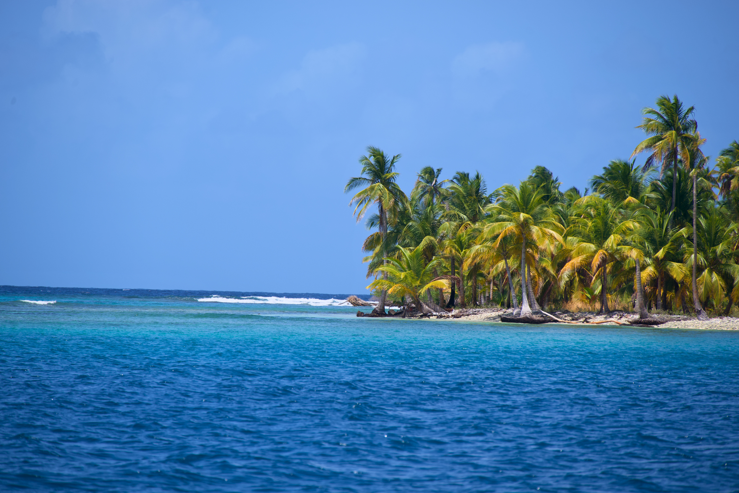 San Blas Islands, Panama palm trees