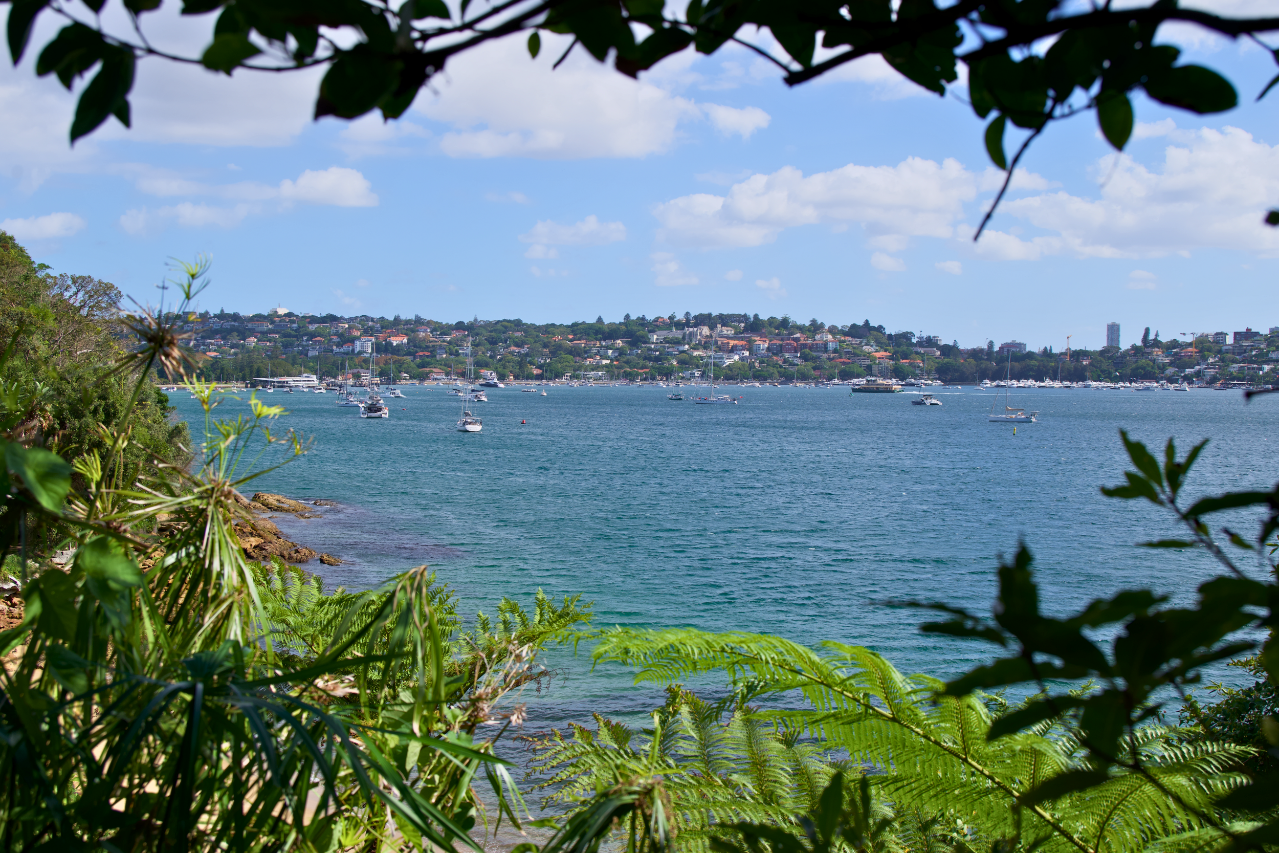 Coastal walking path in Sydney, Australia
