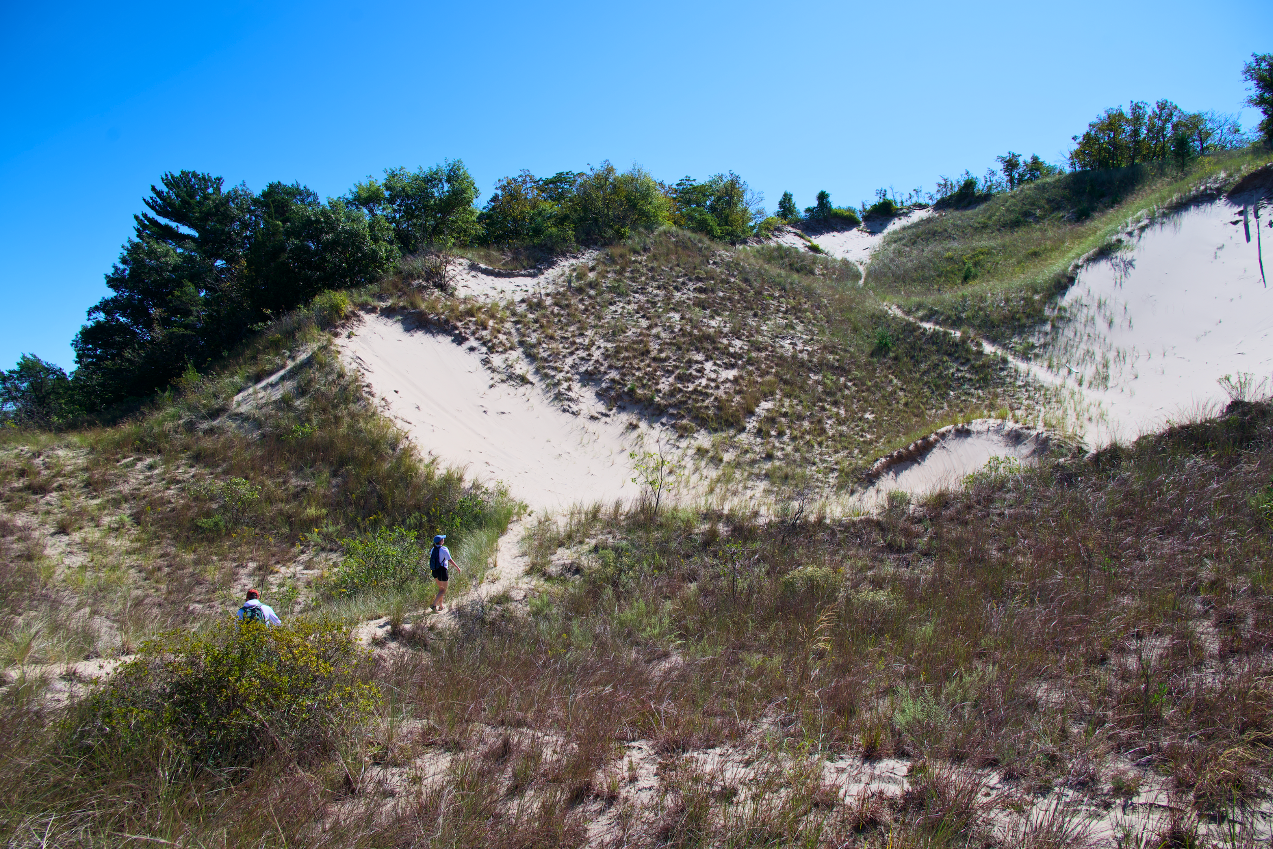Indiana Dunes National Park dunes