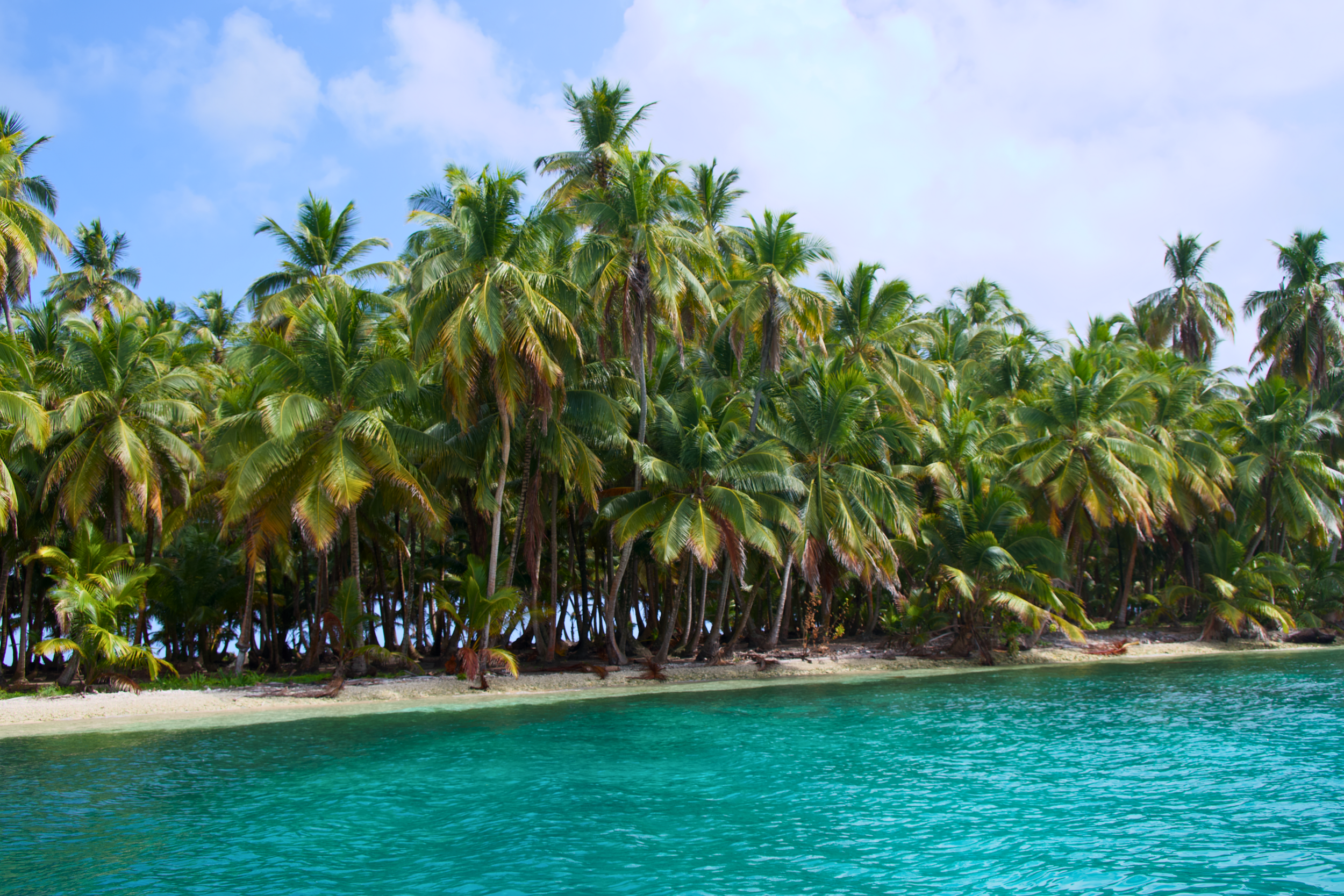 San Blas Islands, Panama quiet island with hundreds of palm trees
