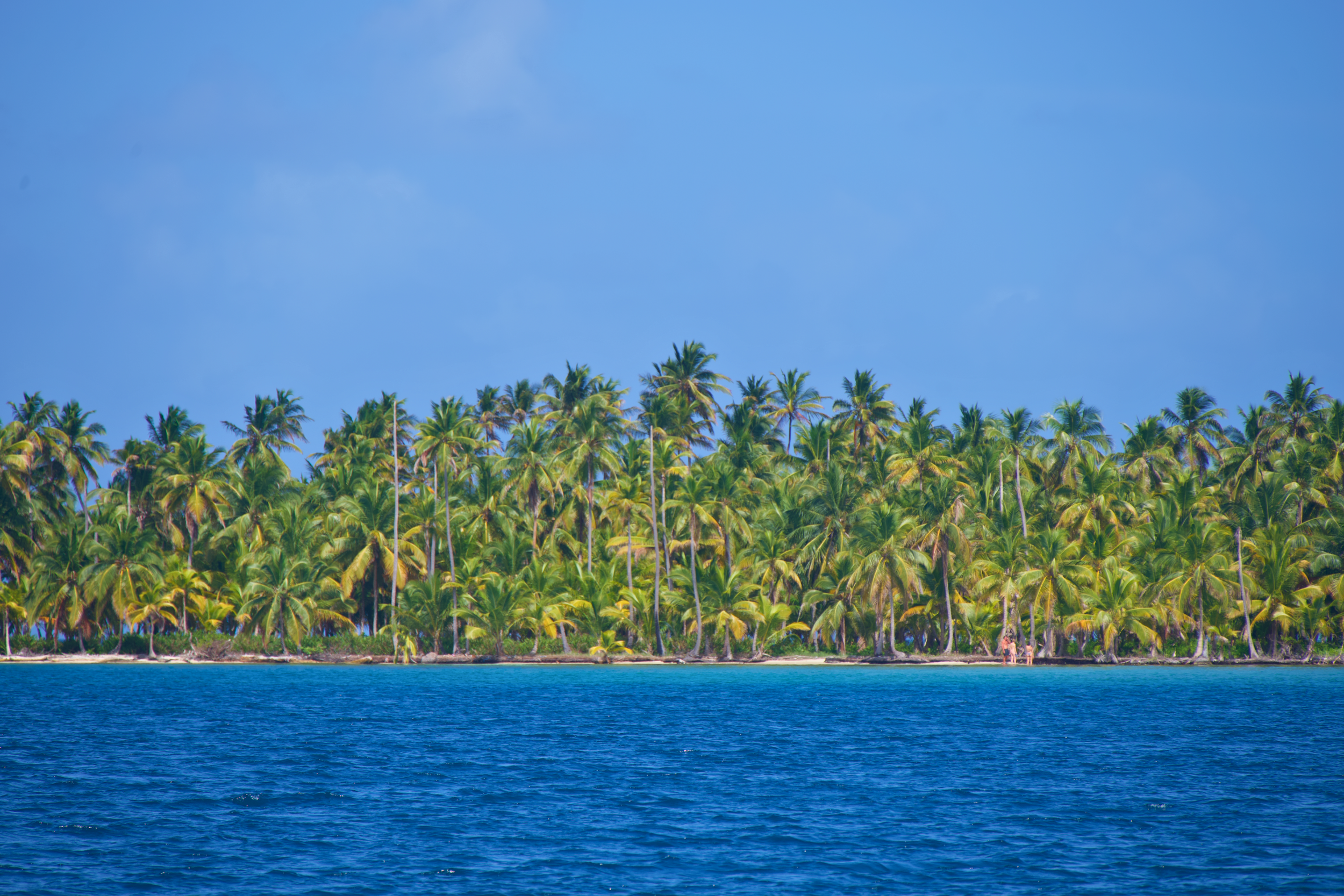 Tropical island with a dense grove of palm trees along the shoreline and calm blue ocean water in the foreground, under a partly cloudy sky.