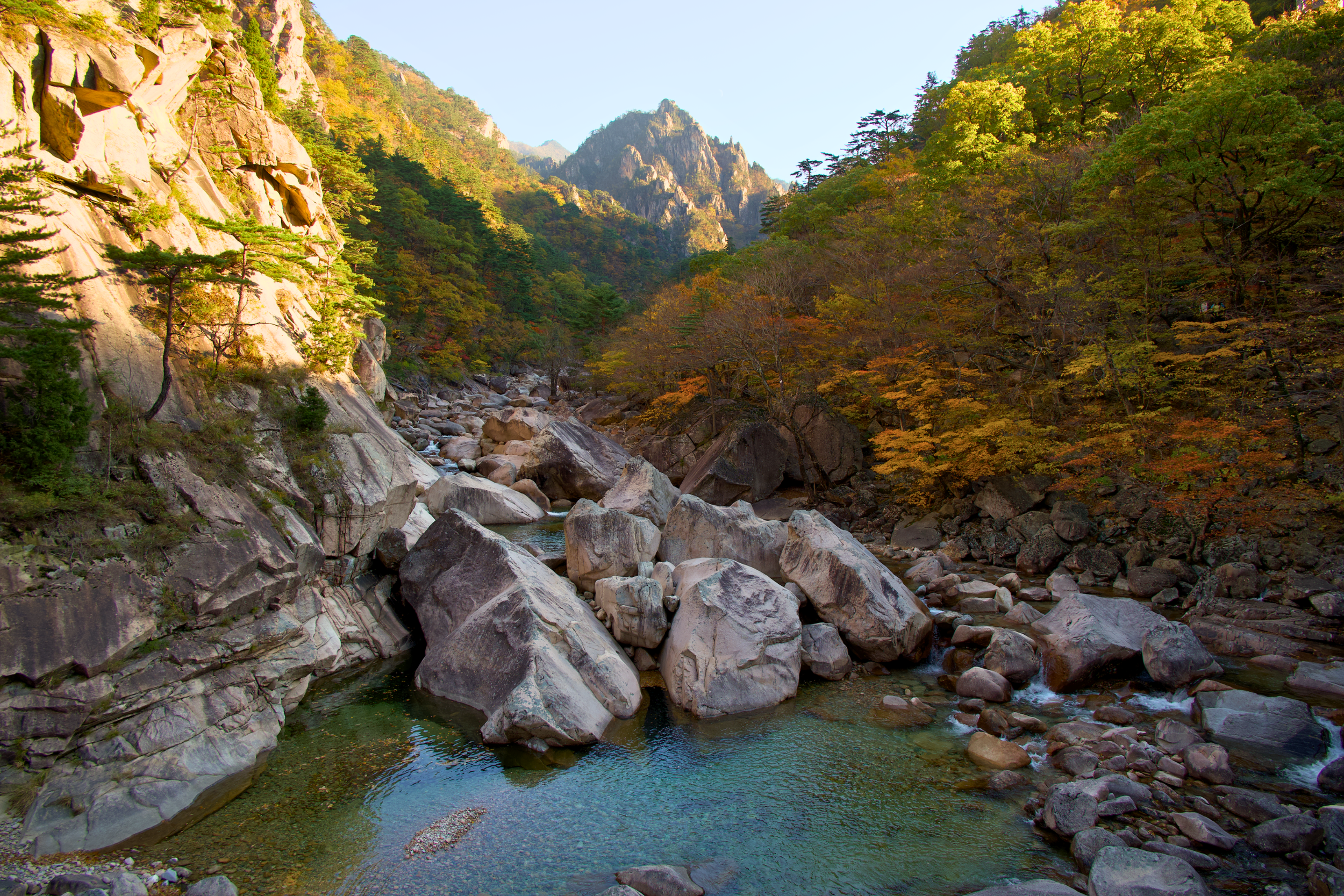 Scenic view of a river flowing through a rocky canyon surrounded by lush green trees and mountains with some autumn foliage under a clear blue sky.