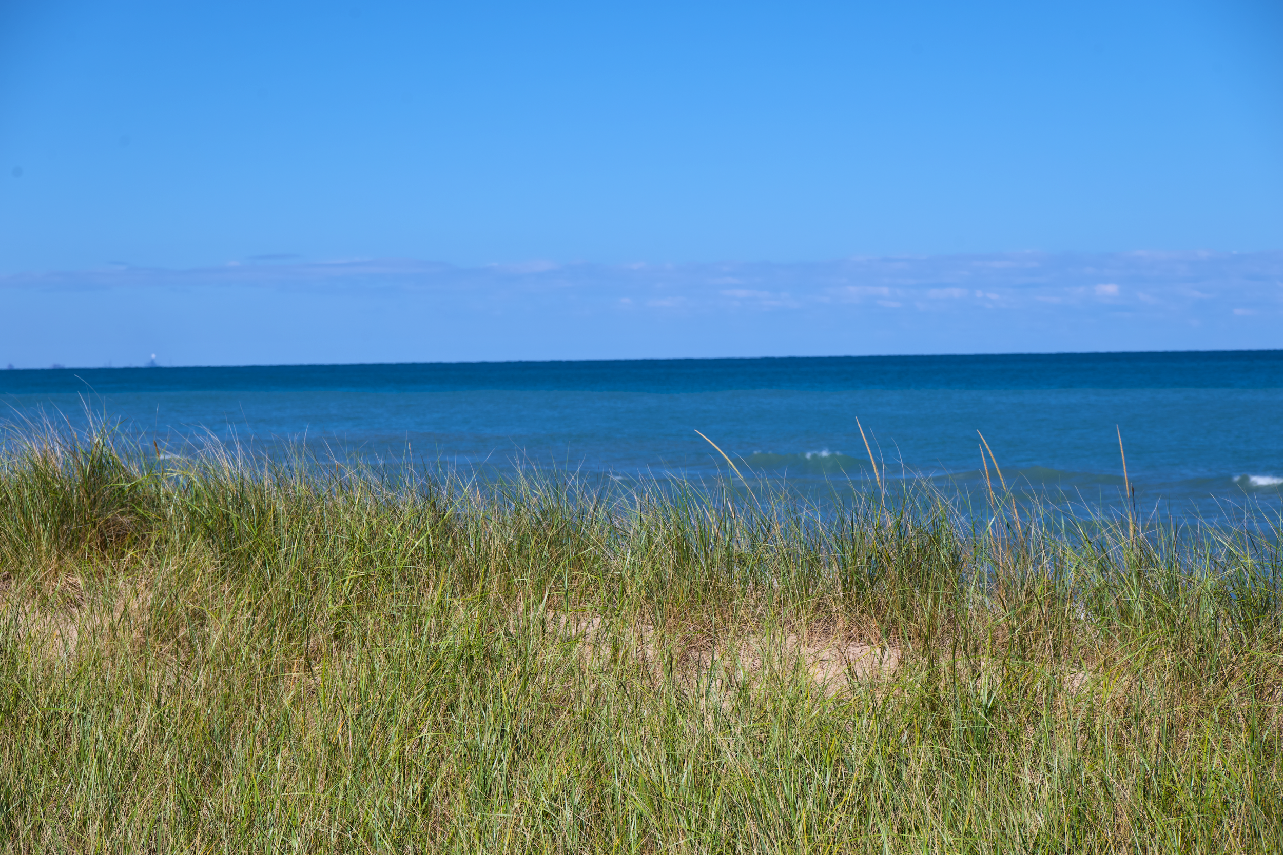 Indiana Dunes National Park in the summer