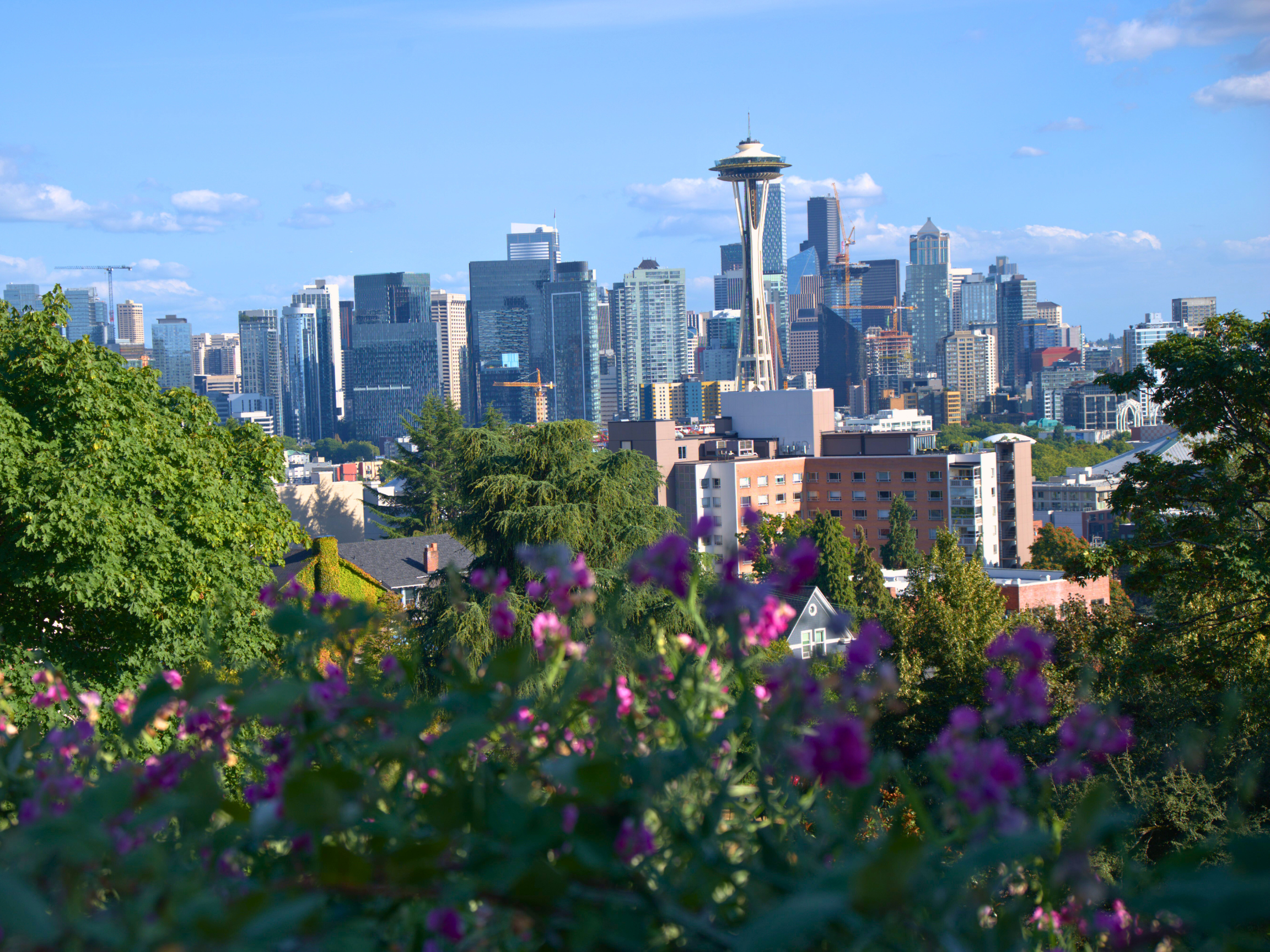 From Drizzles to Dazzle: 30 Unmissable Seattle Experiences — The Scenic ...