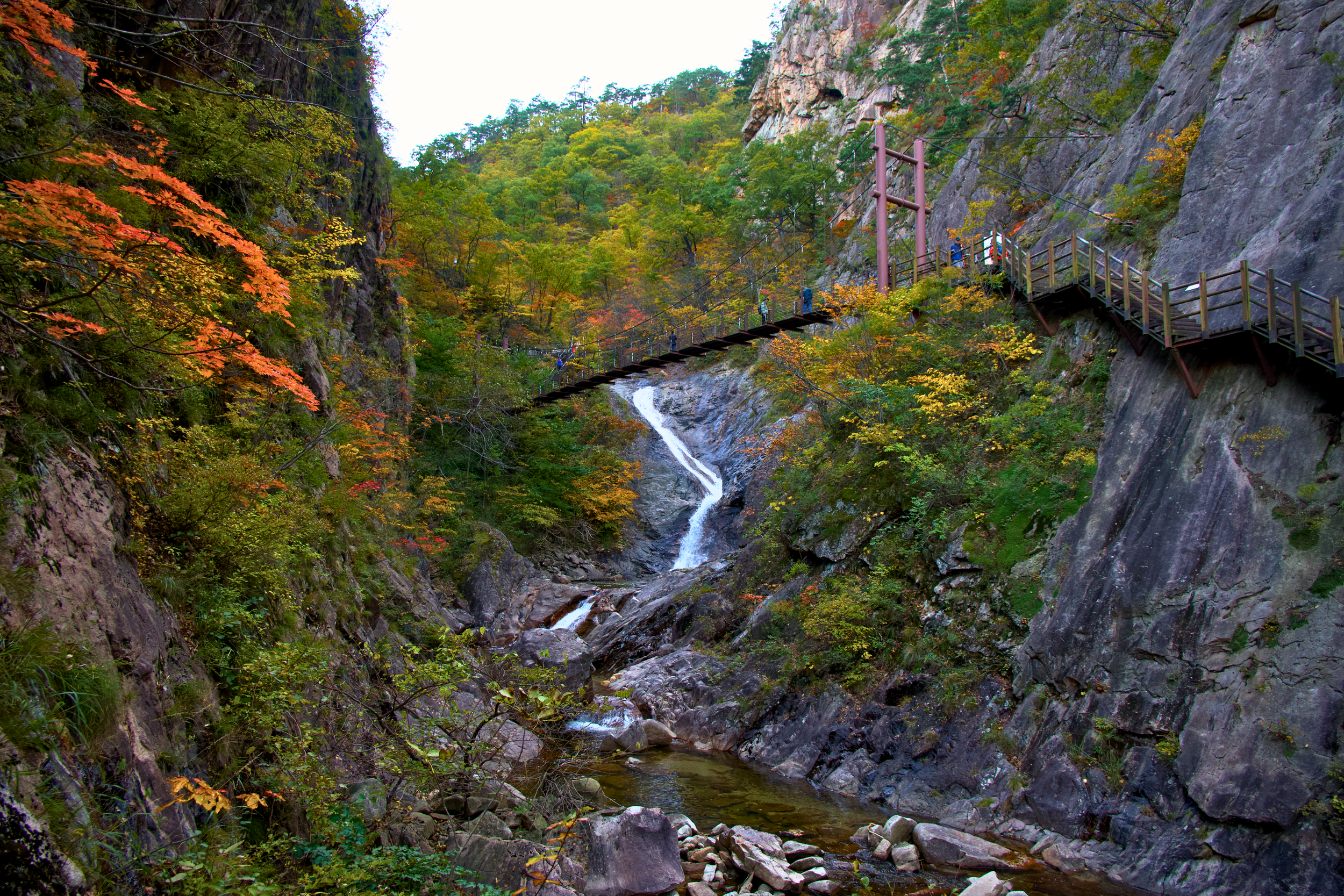 A suspension bridge crosses a rocky canyon with a stream flowing through it, surrounded by dense green trees with some autumn colors on the leaves.