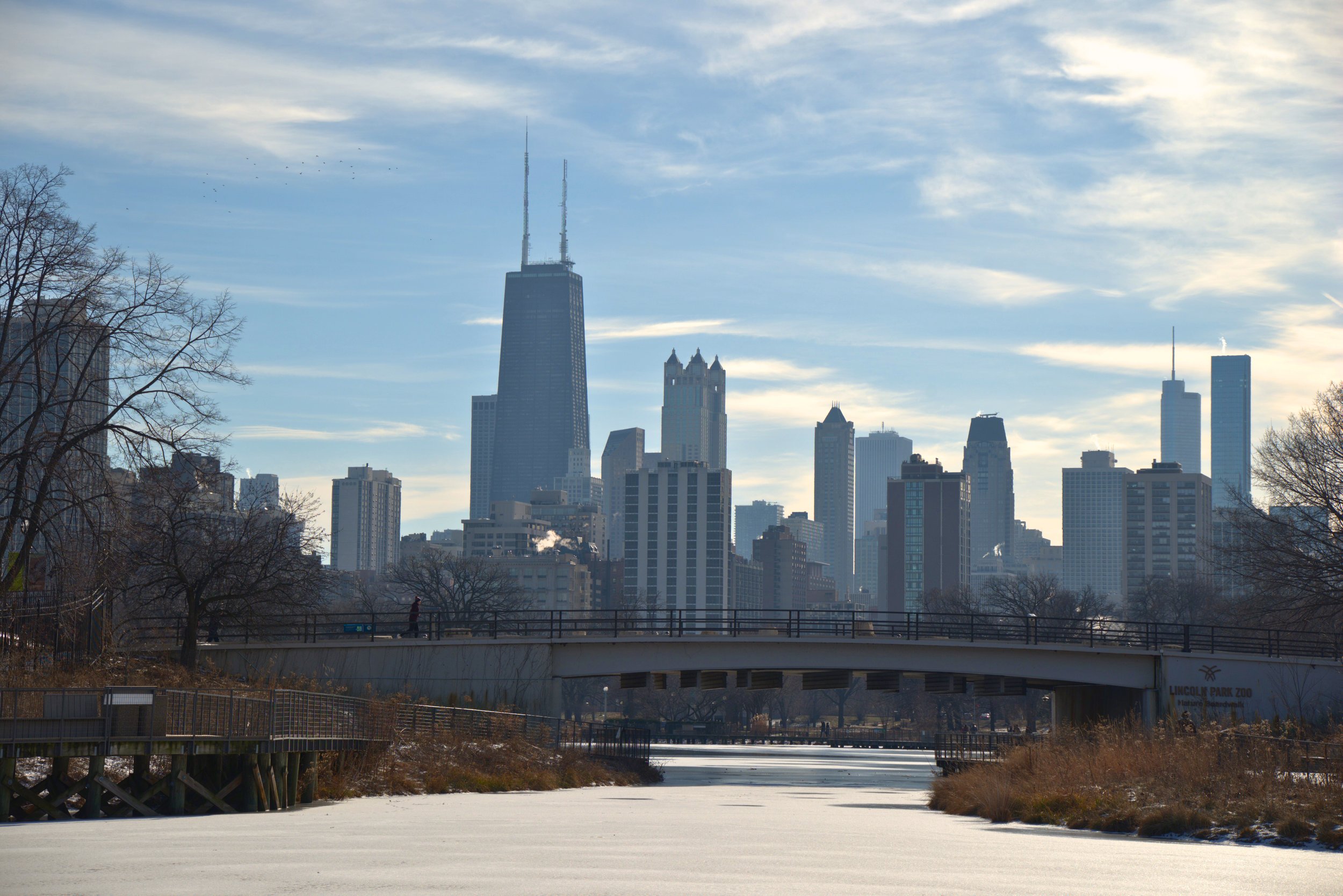 Lincoln Park, Chicago during the winter with snow