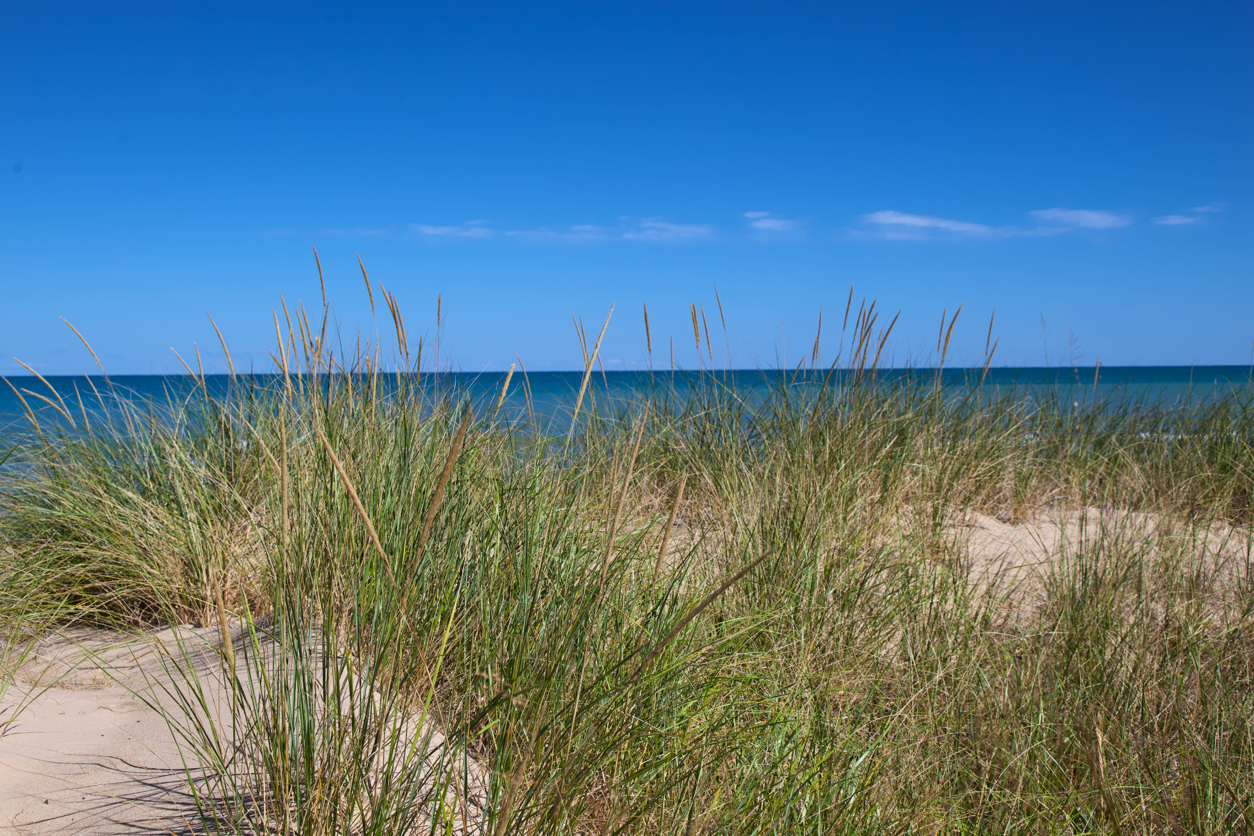 Indiana Dunes National Park
