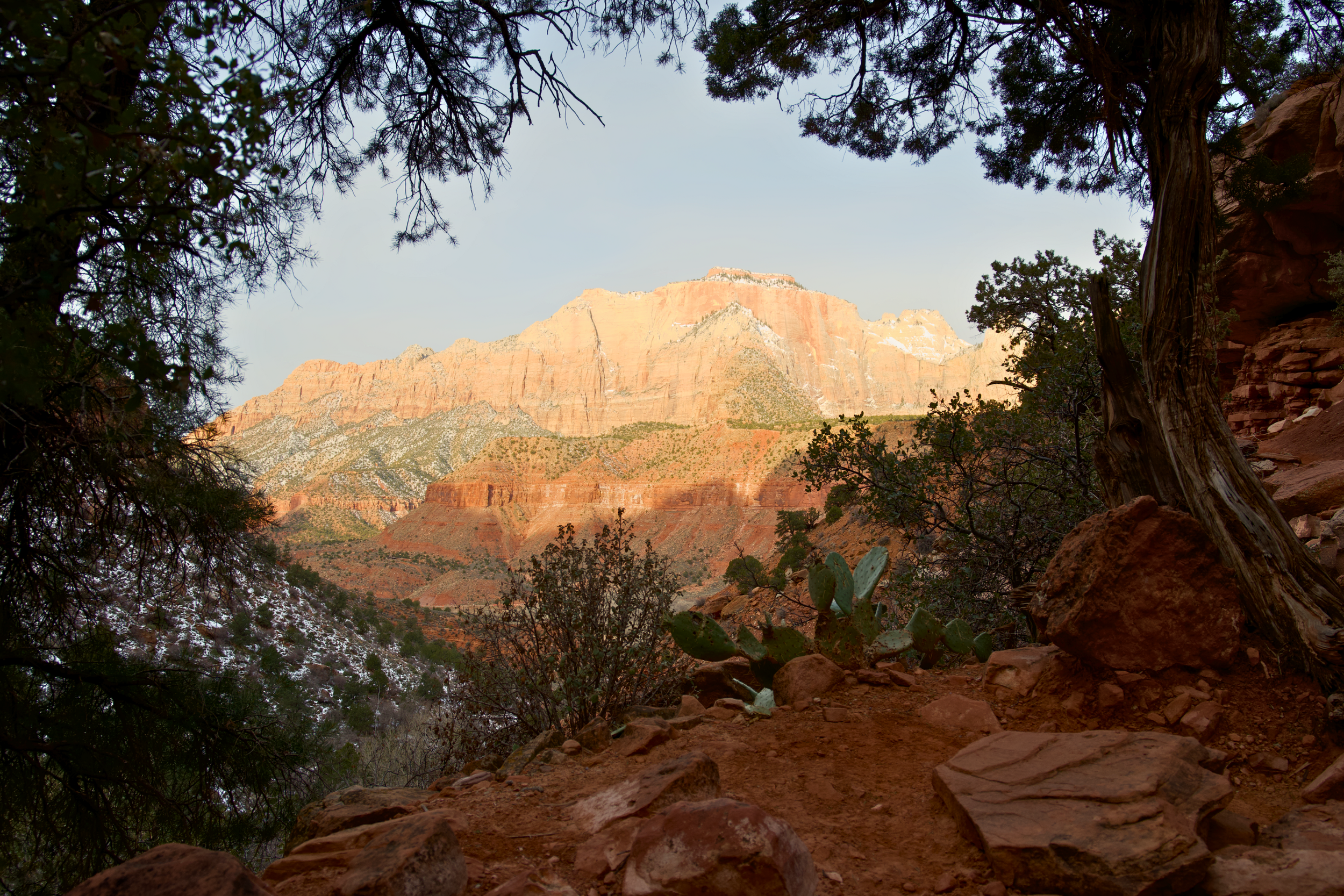 Zion National park in winter