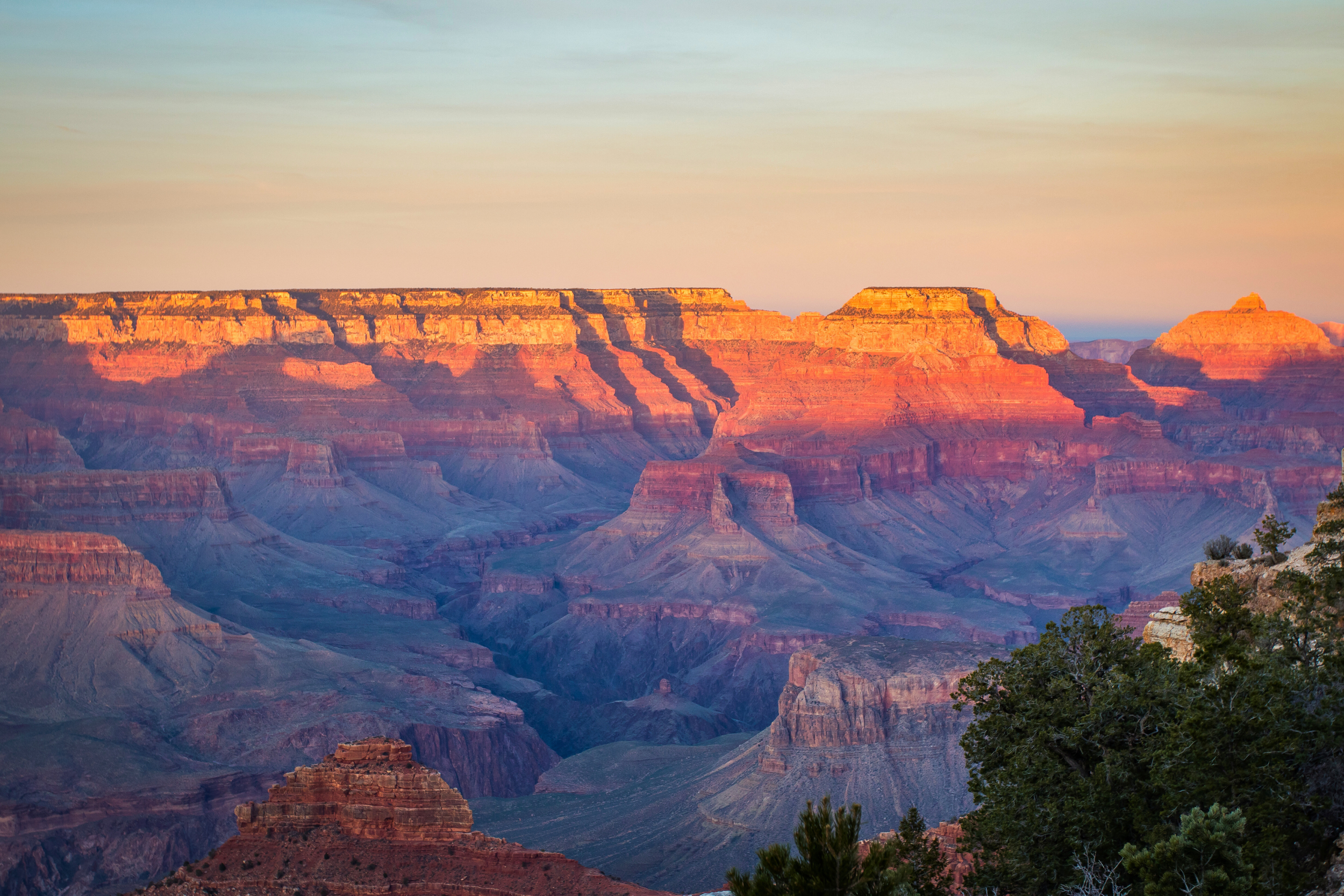Sunset over the Grand Canyon displaying layered red, orange, and purple hues in the rock formations, with trees in the foreground.
